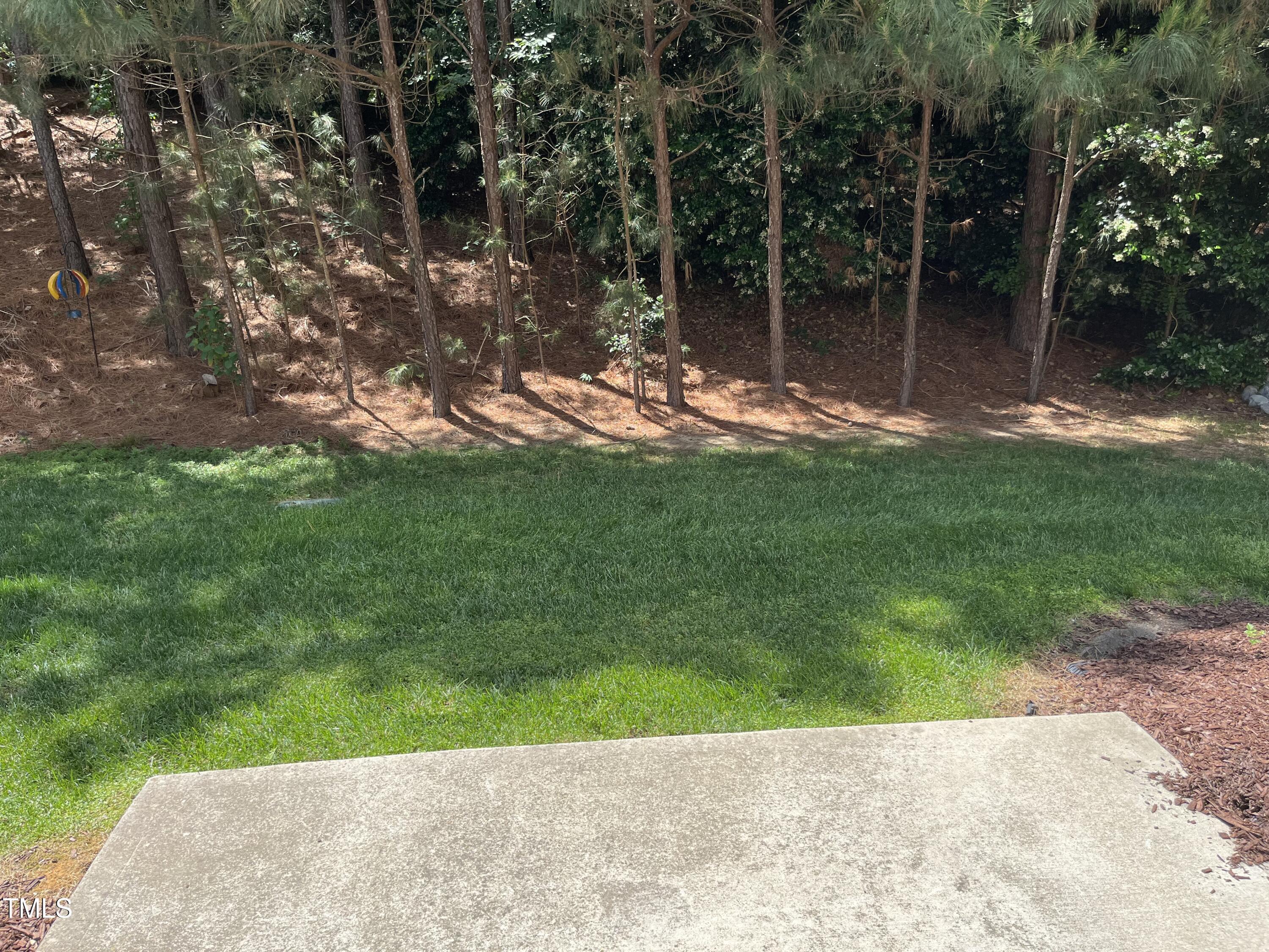 Photo #9