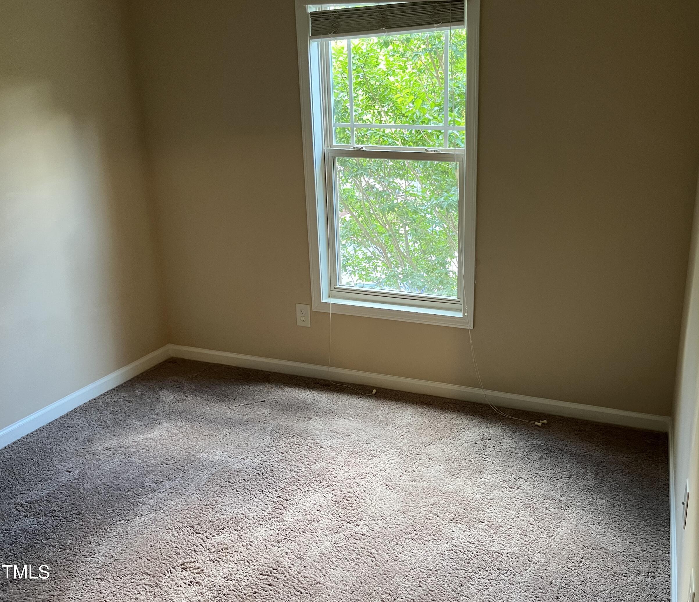 Photo #21