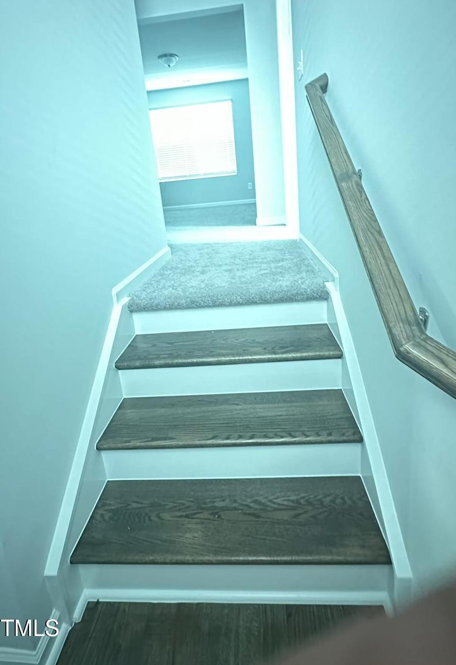 Photo #22
