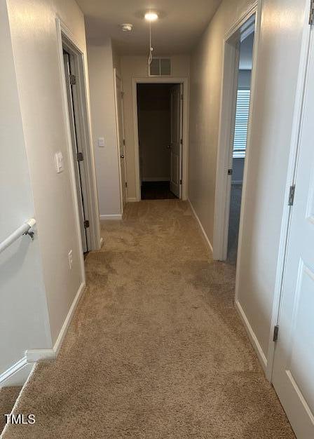 Photo #31
