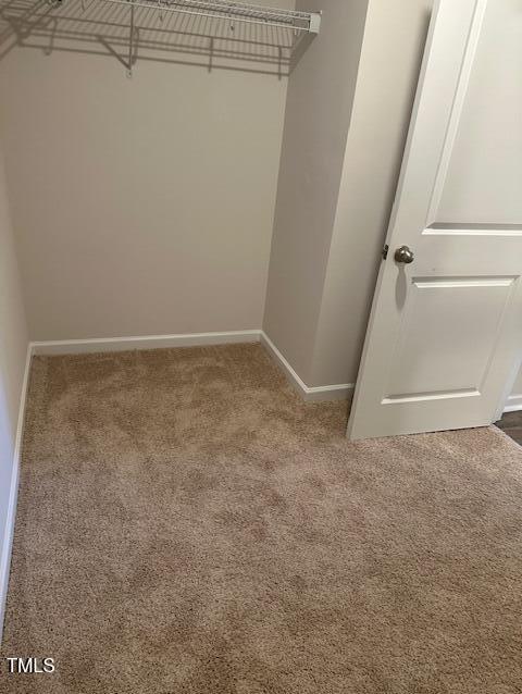Photo #29
