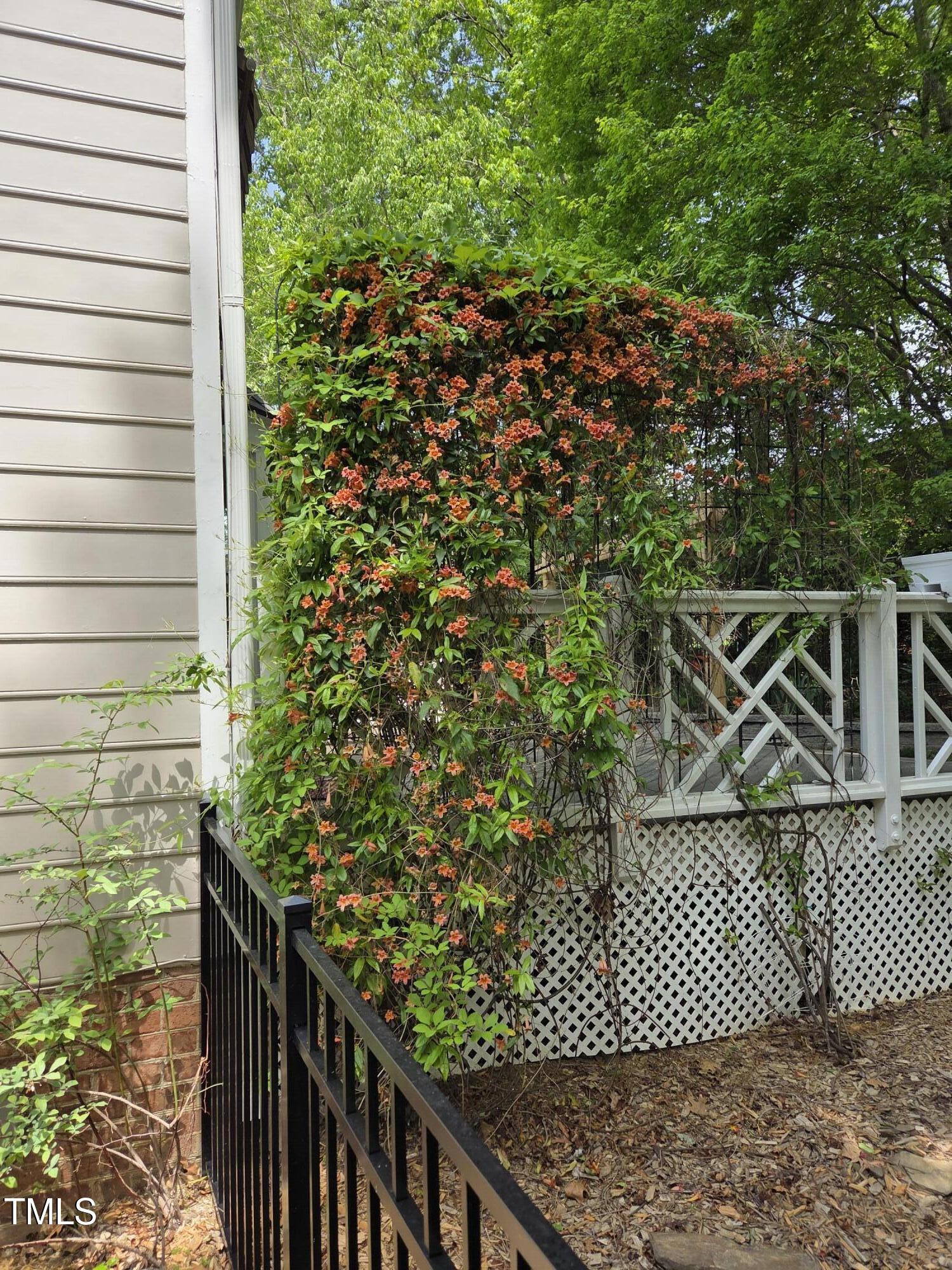 Photo #38