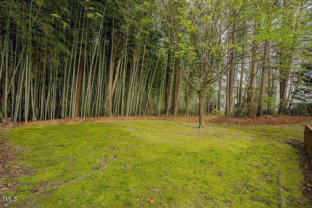 Photo #36