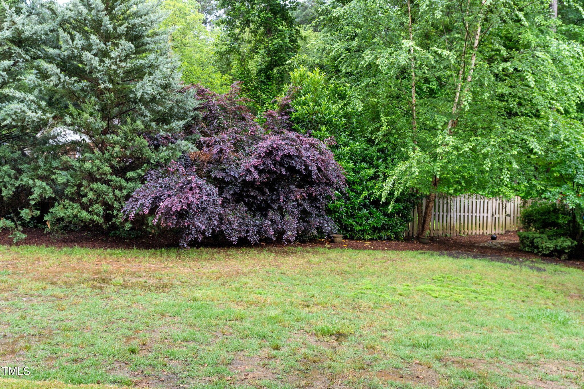 Photo #68