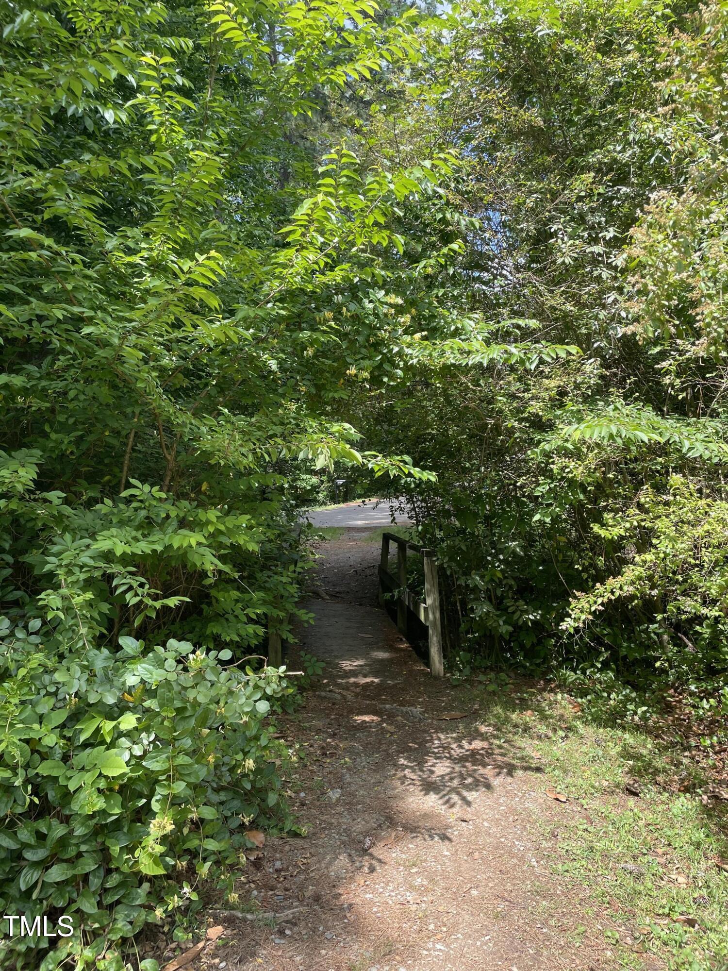 Photo #42