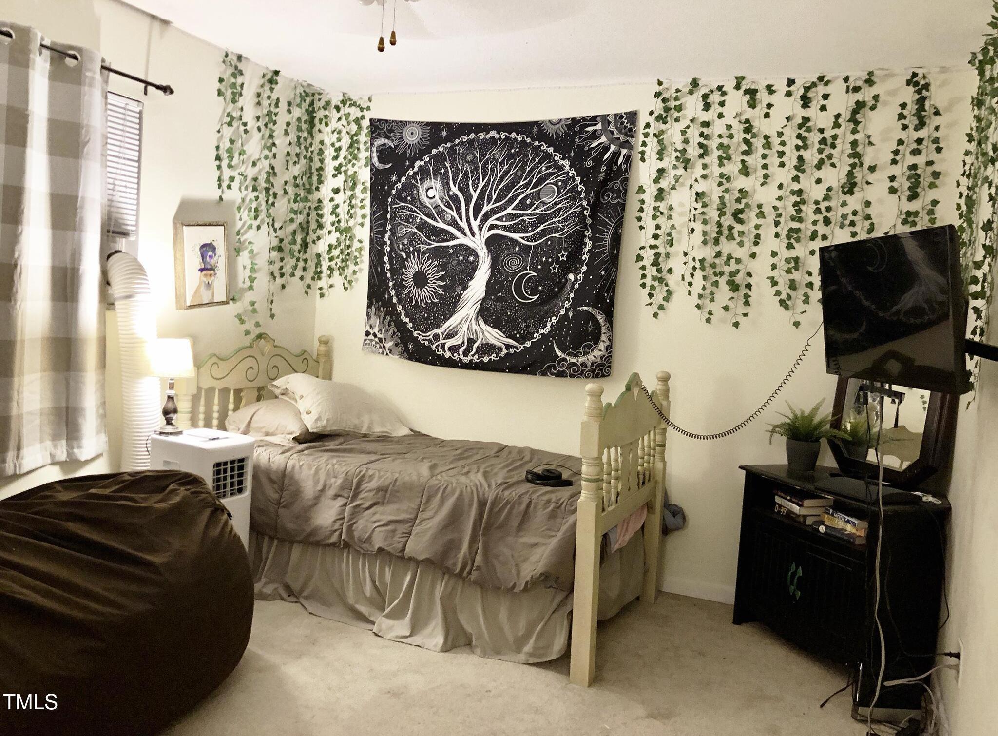 Photo #16