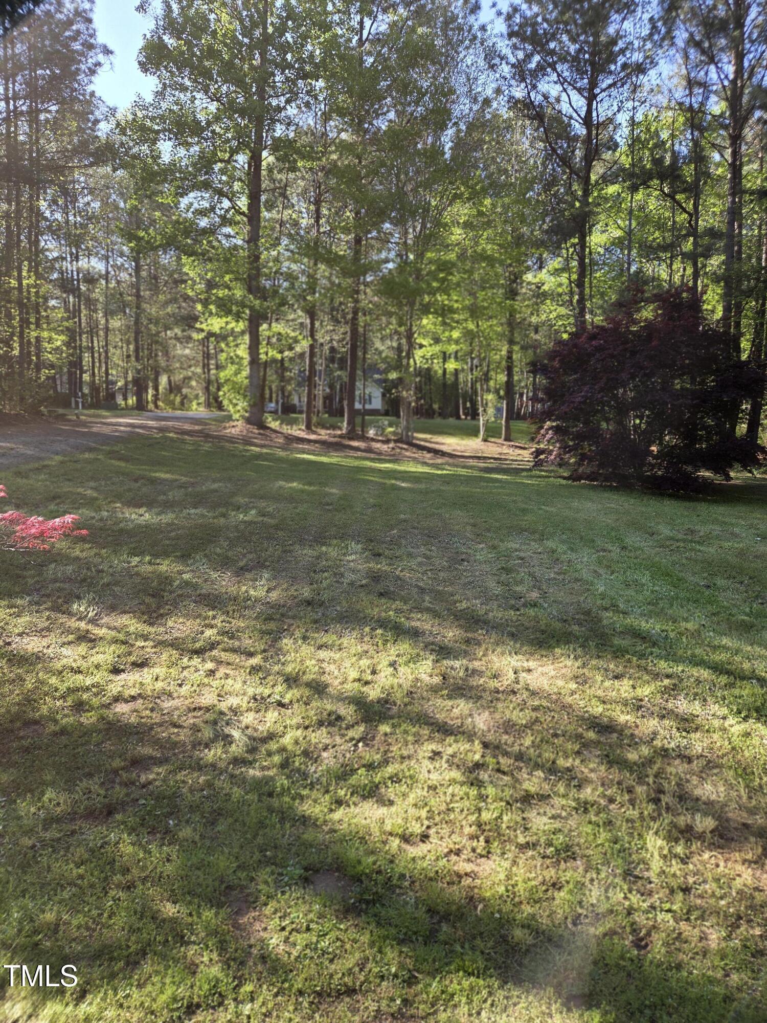 Photo #21