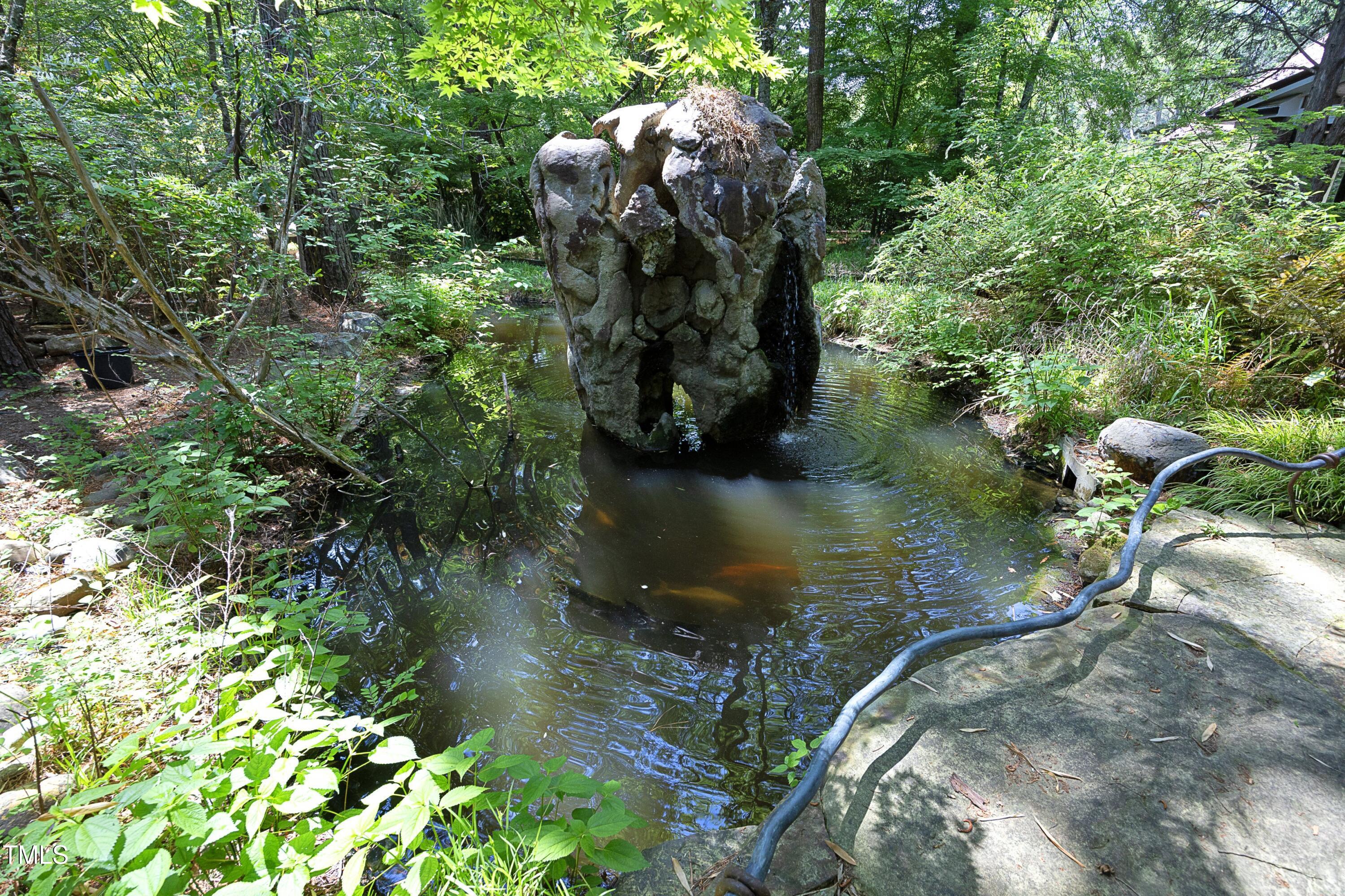 Photo #57