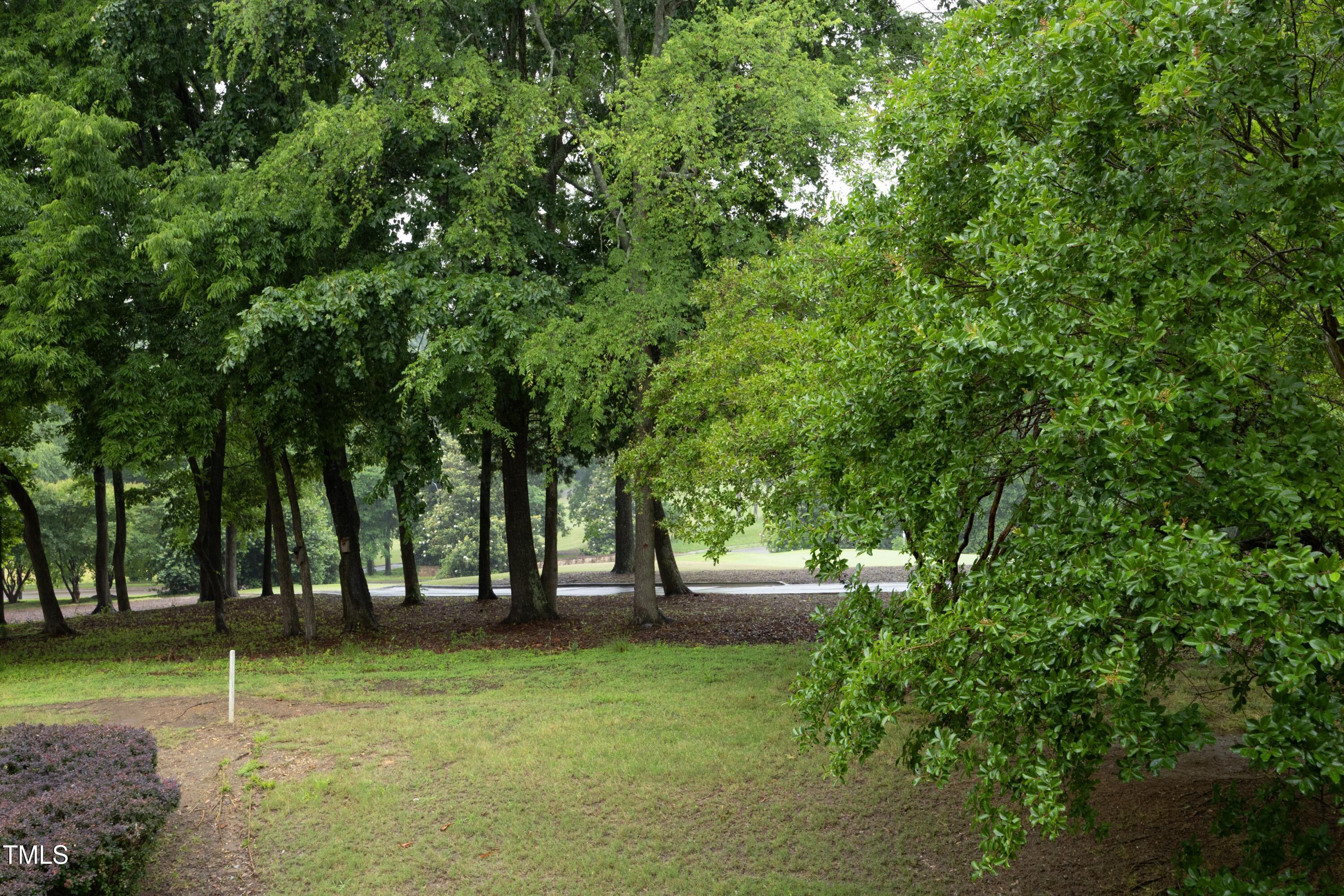 Photo #29
