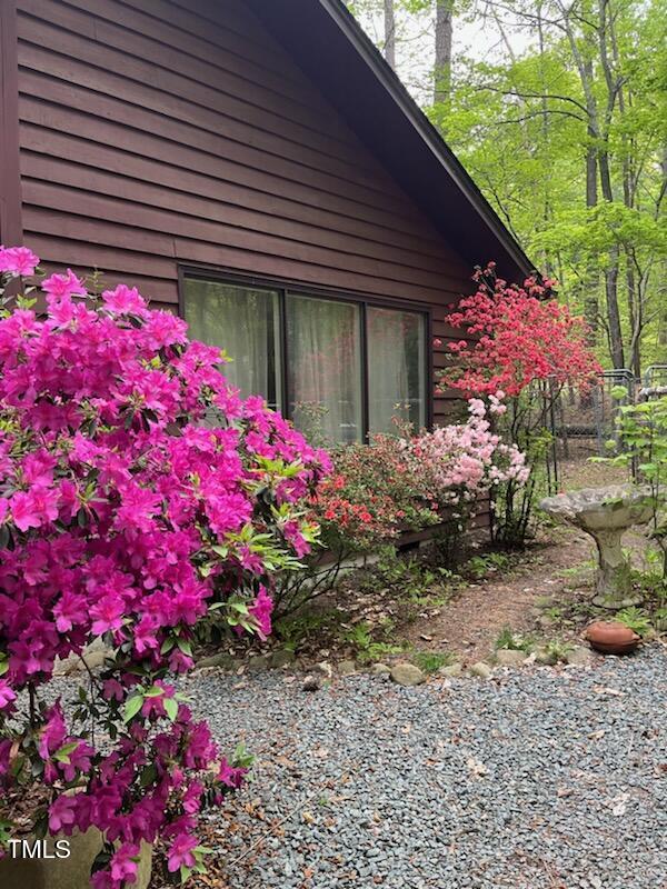 Photo #36