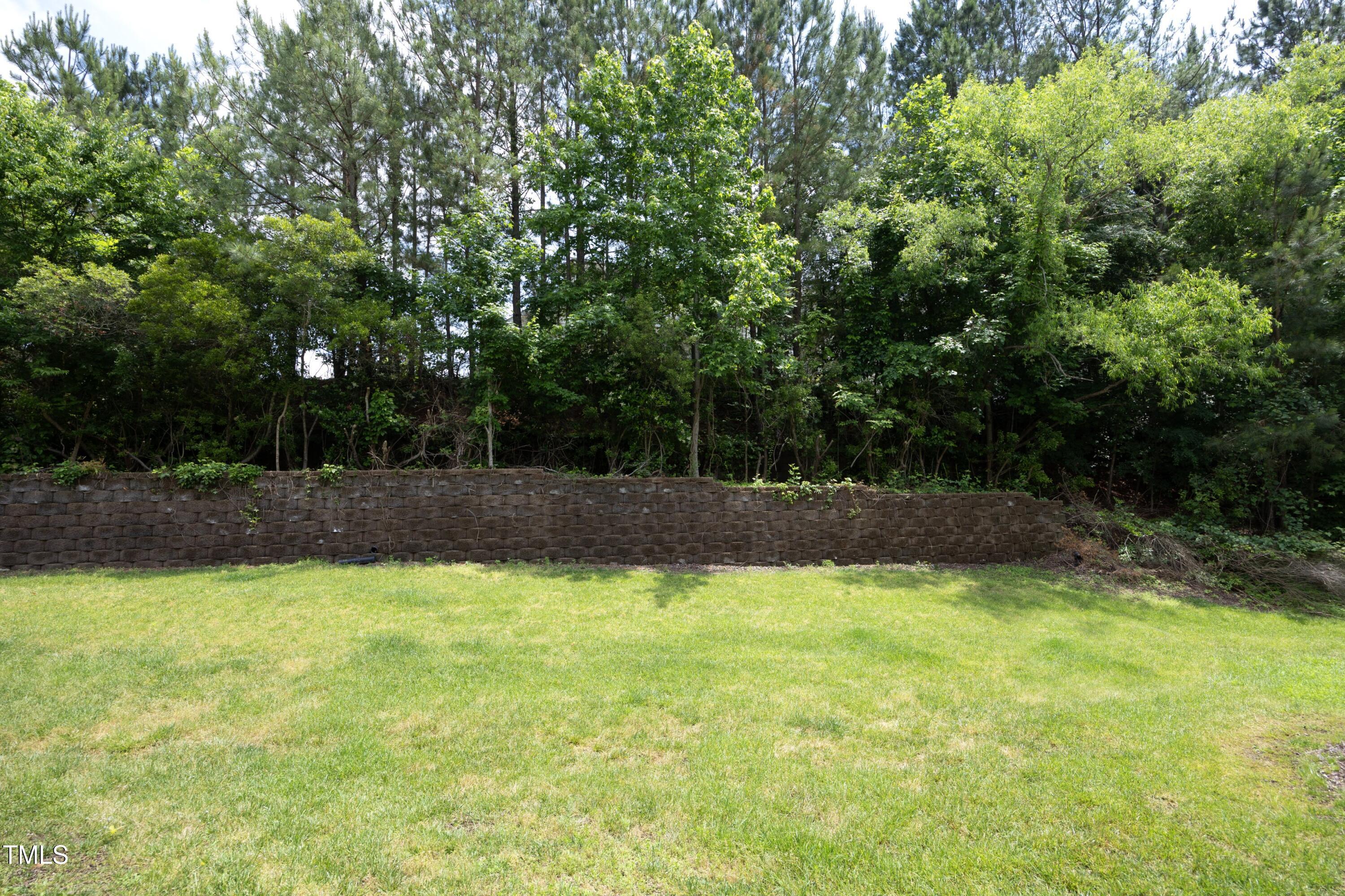 Photo #30
