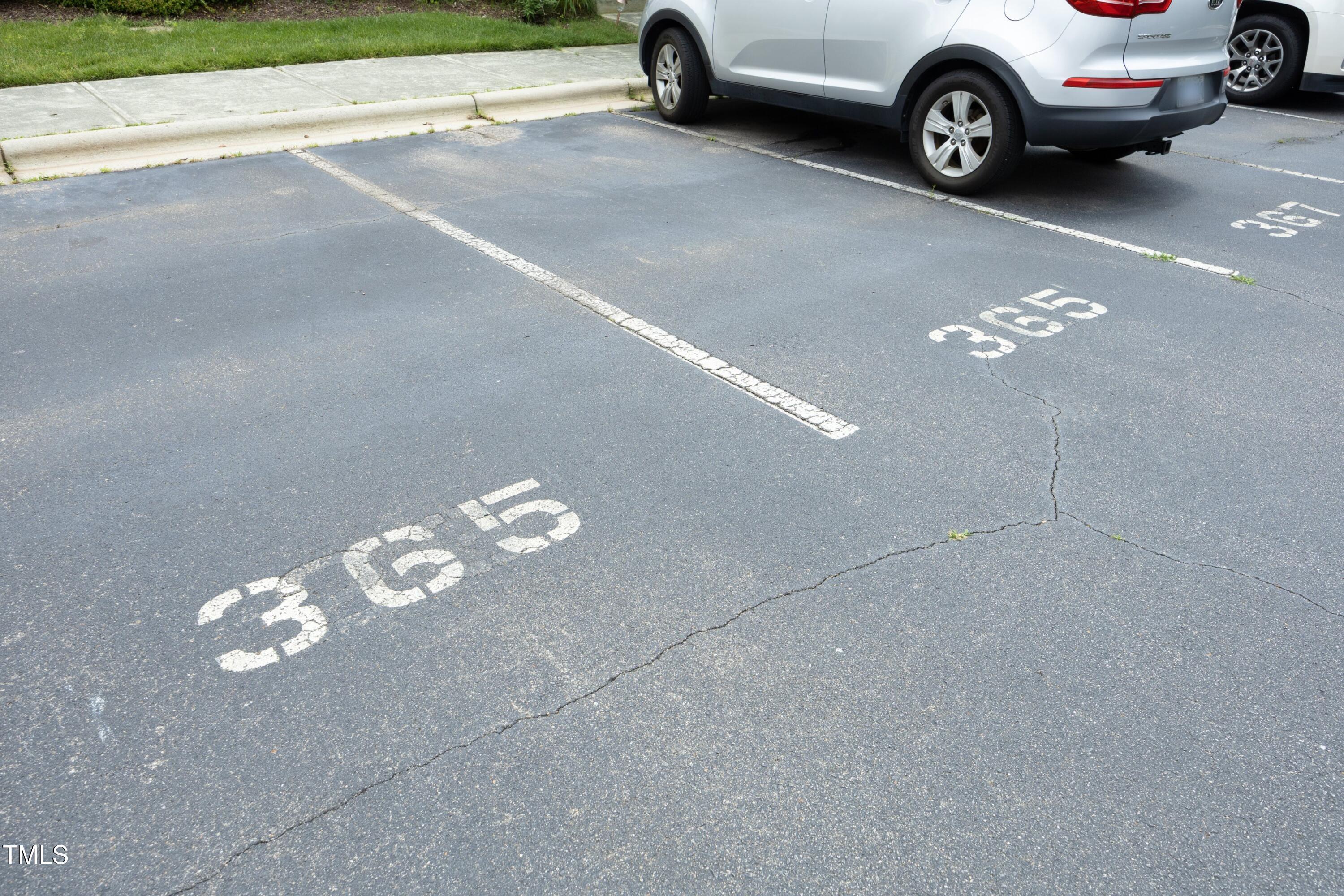 Photo #31