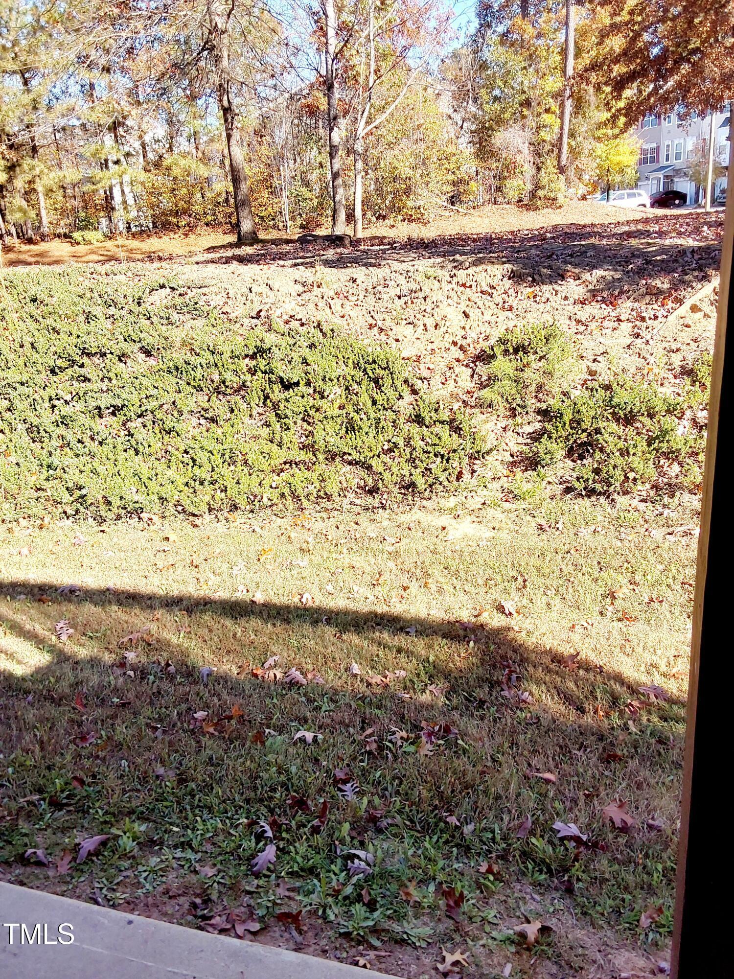 Photo #16