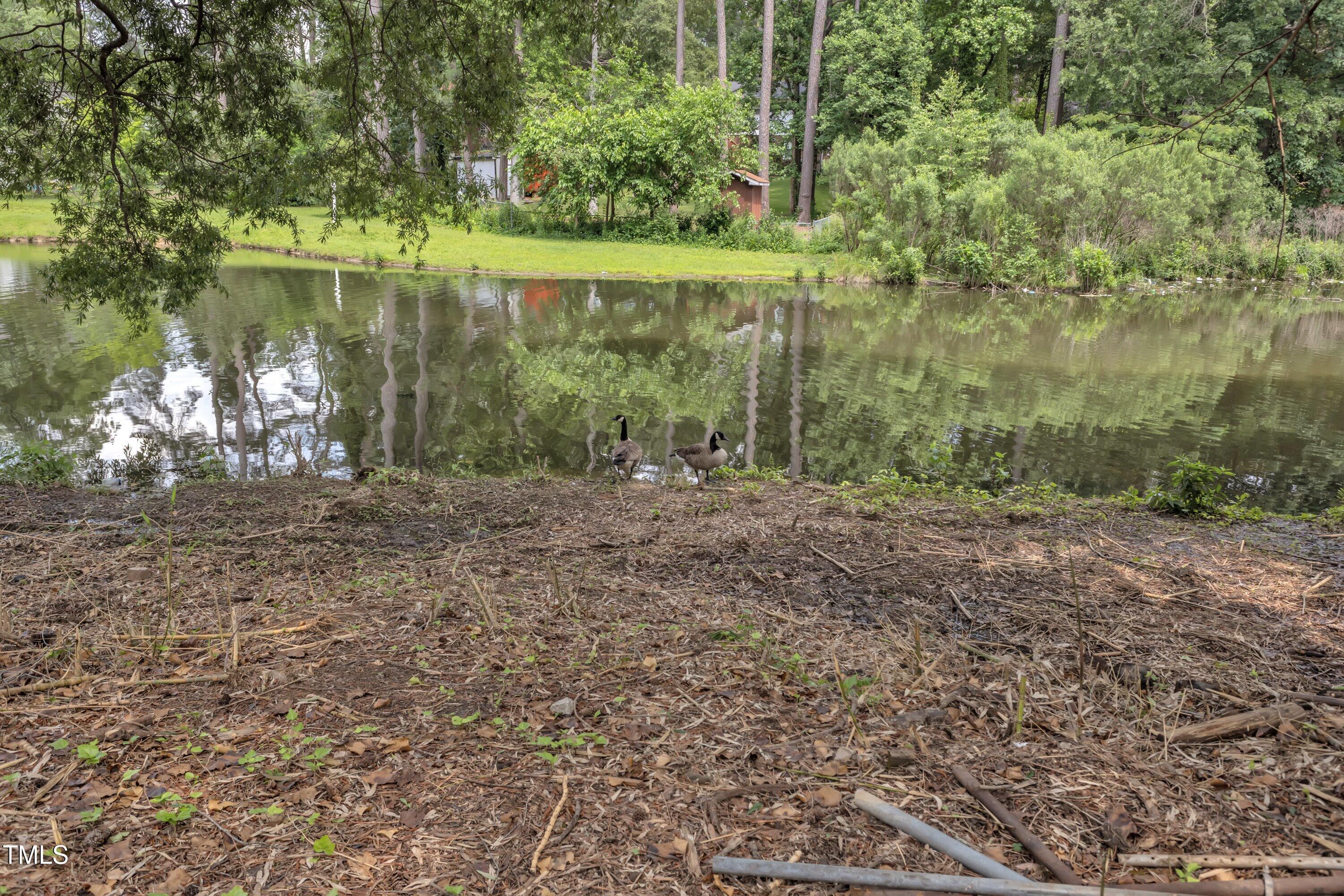 Photo #53