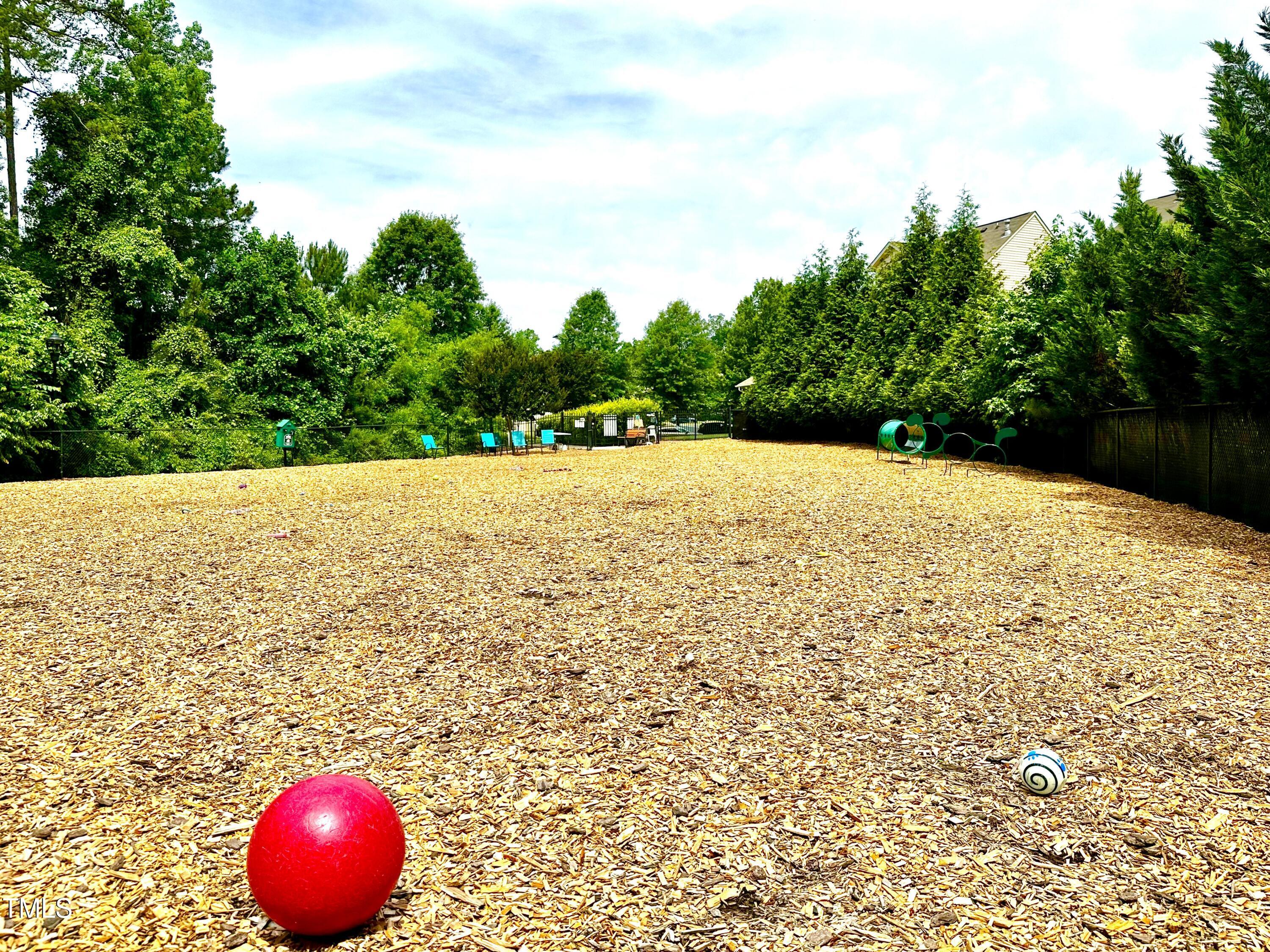 Photo #52
