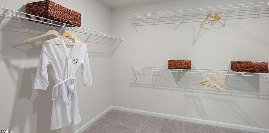 Photo #15
