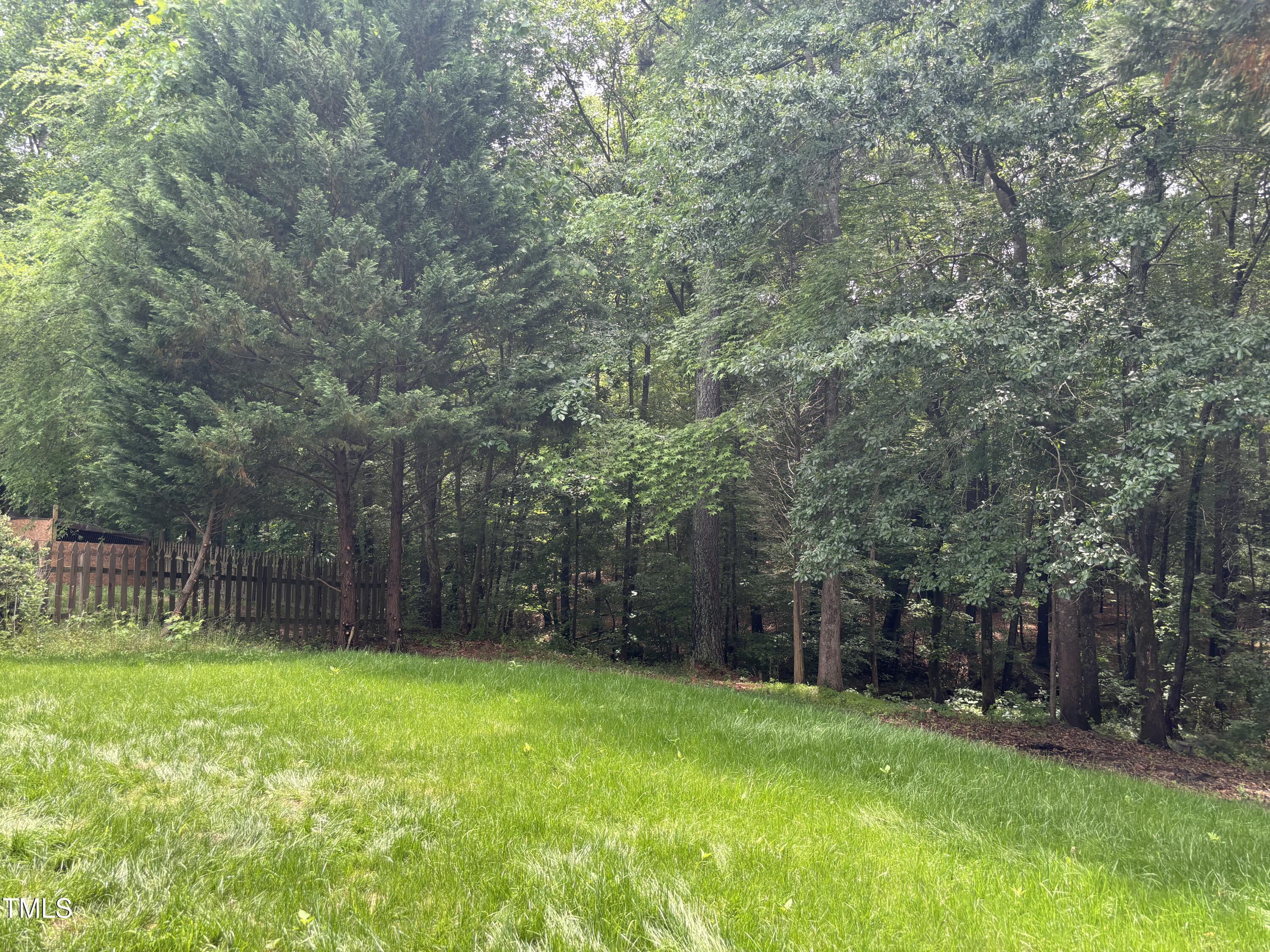 Photo #24
