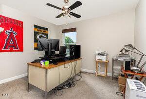 Photo #15
