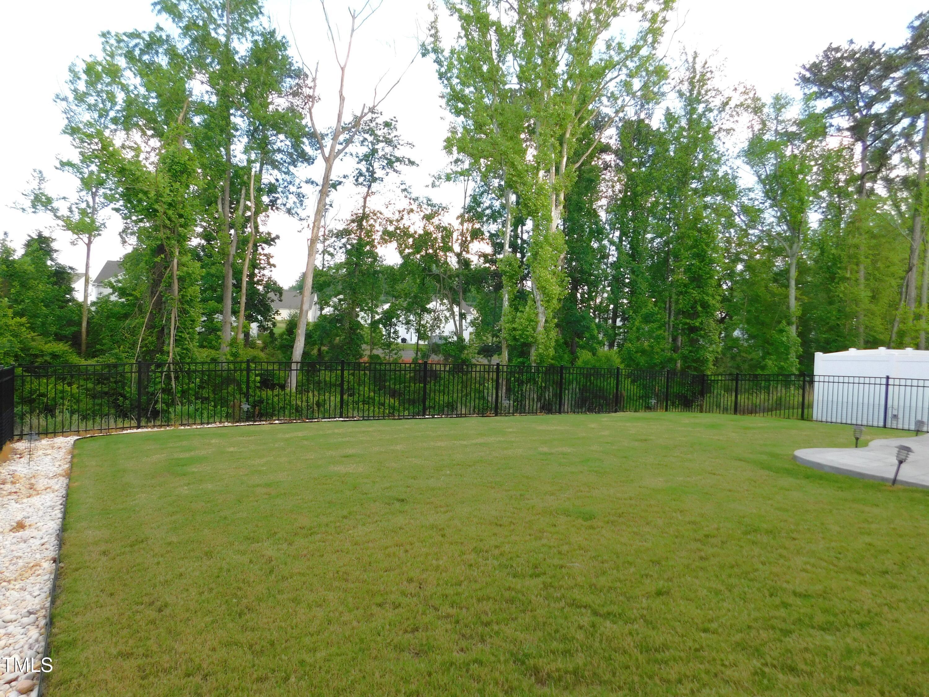 Photo #60