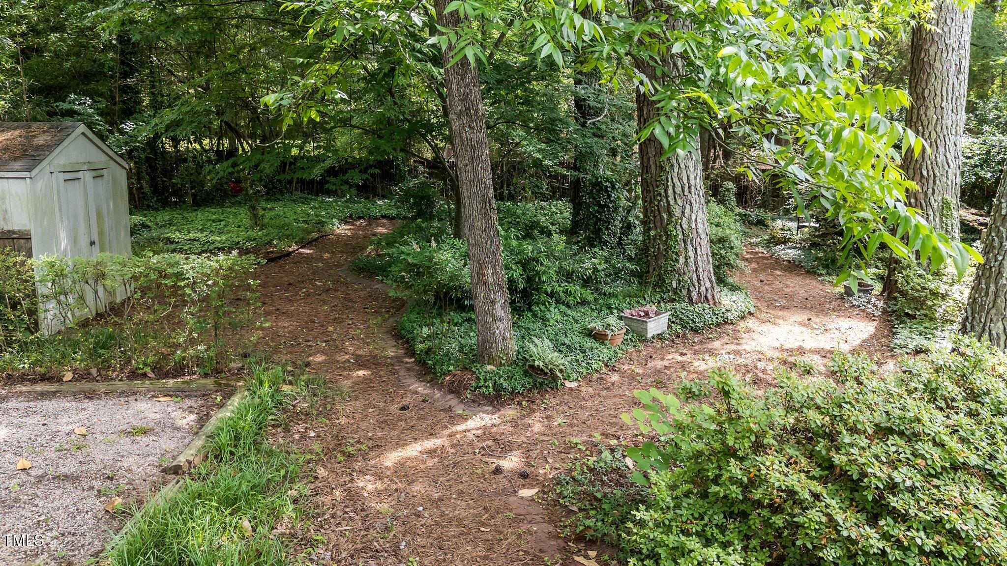 Photo #16