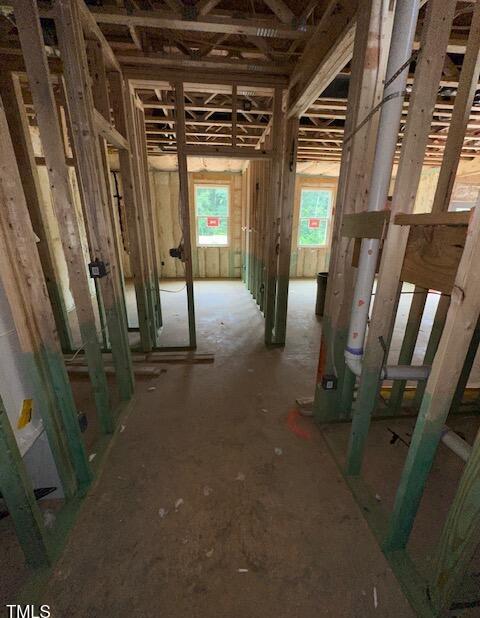 Photo #5