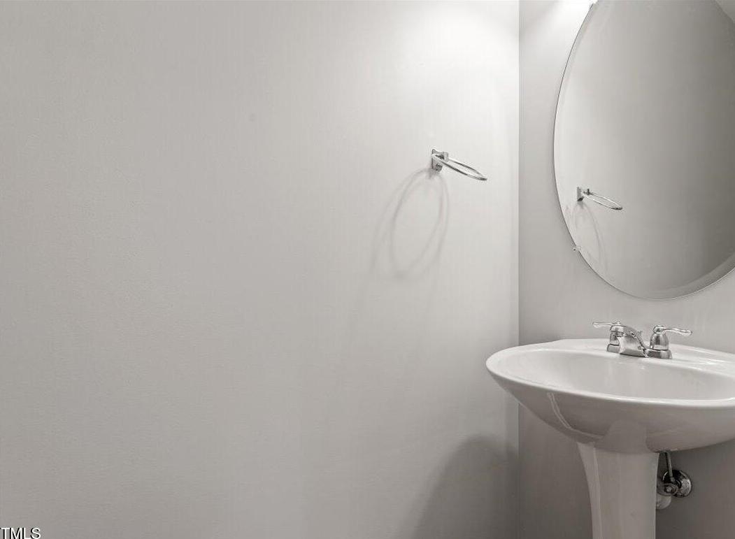 Photo #19
