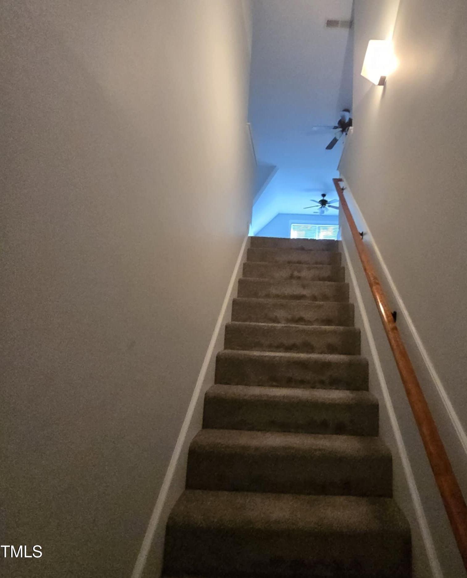 Photo #22