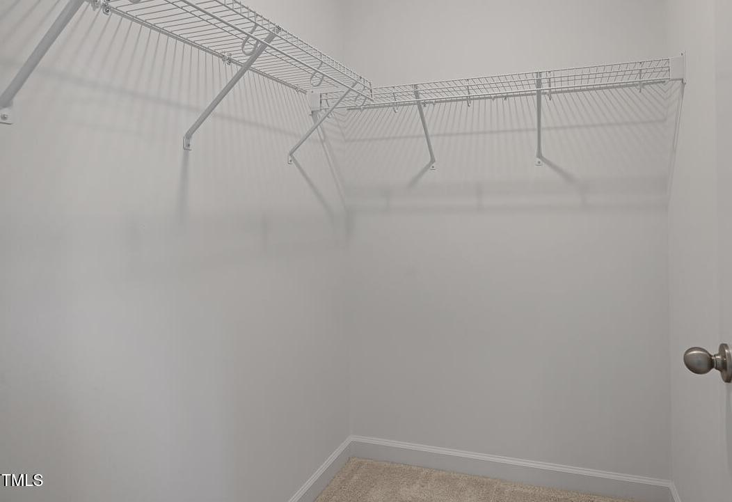 Photo #17