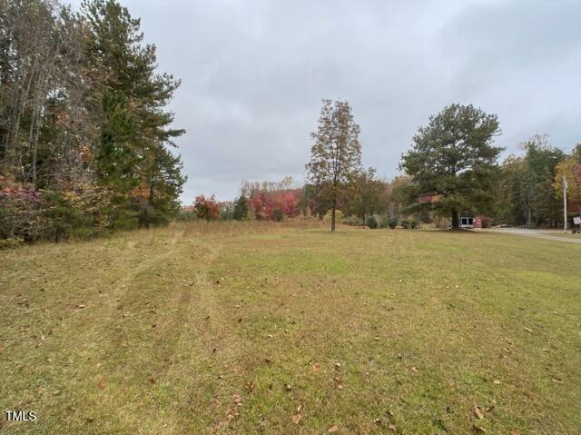 Photo #6