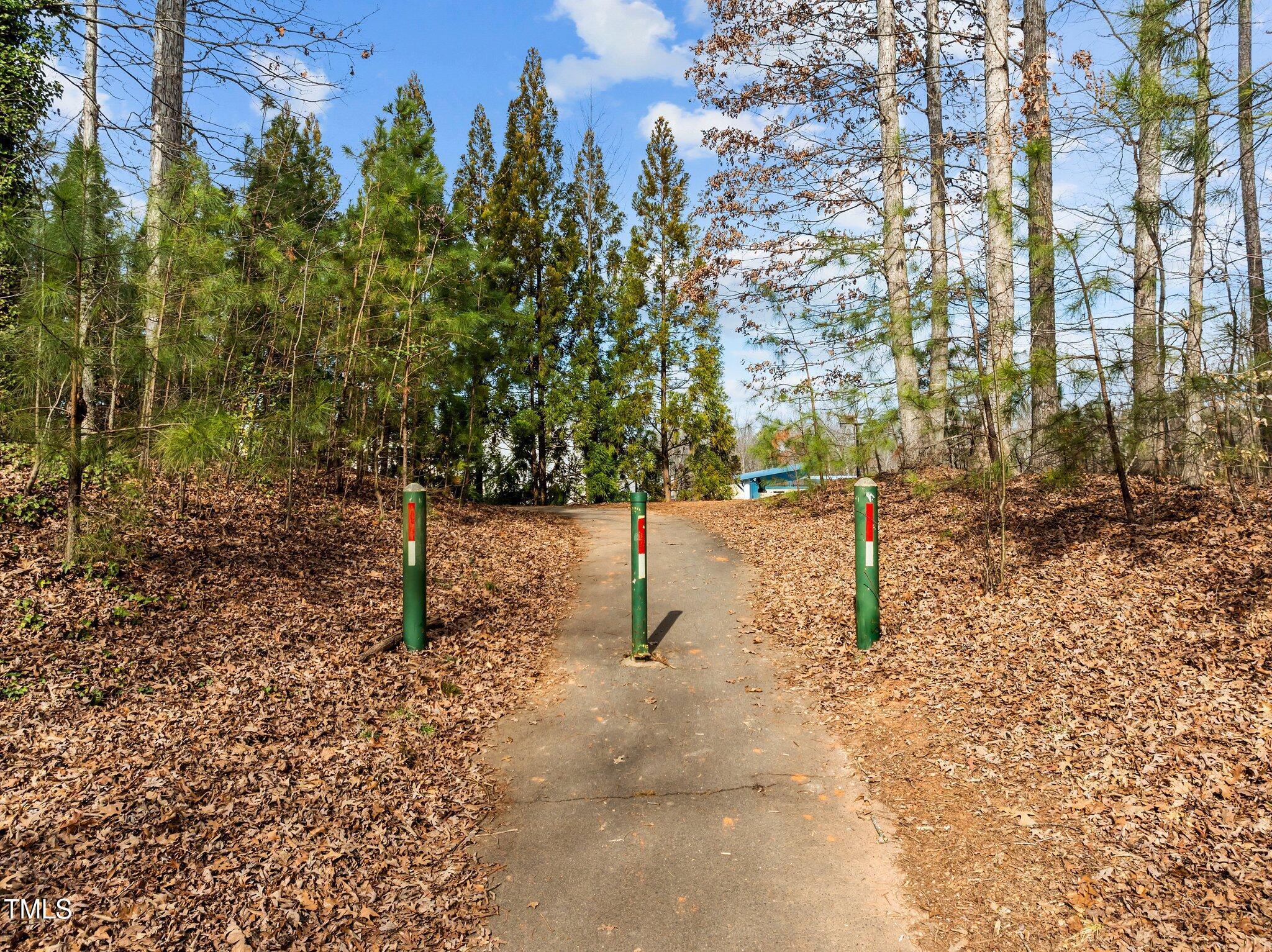 Photo #34