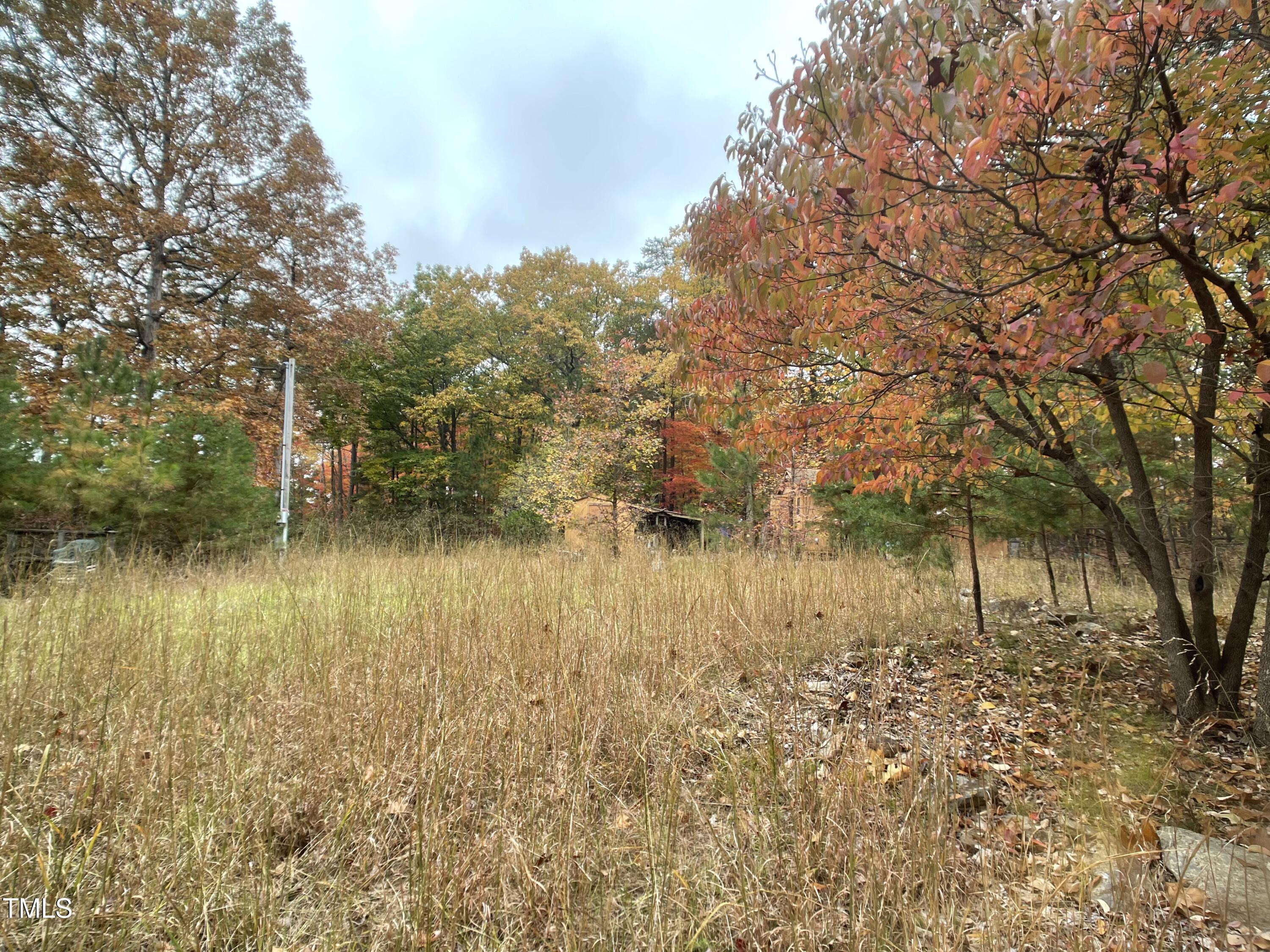 Photo #12