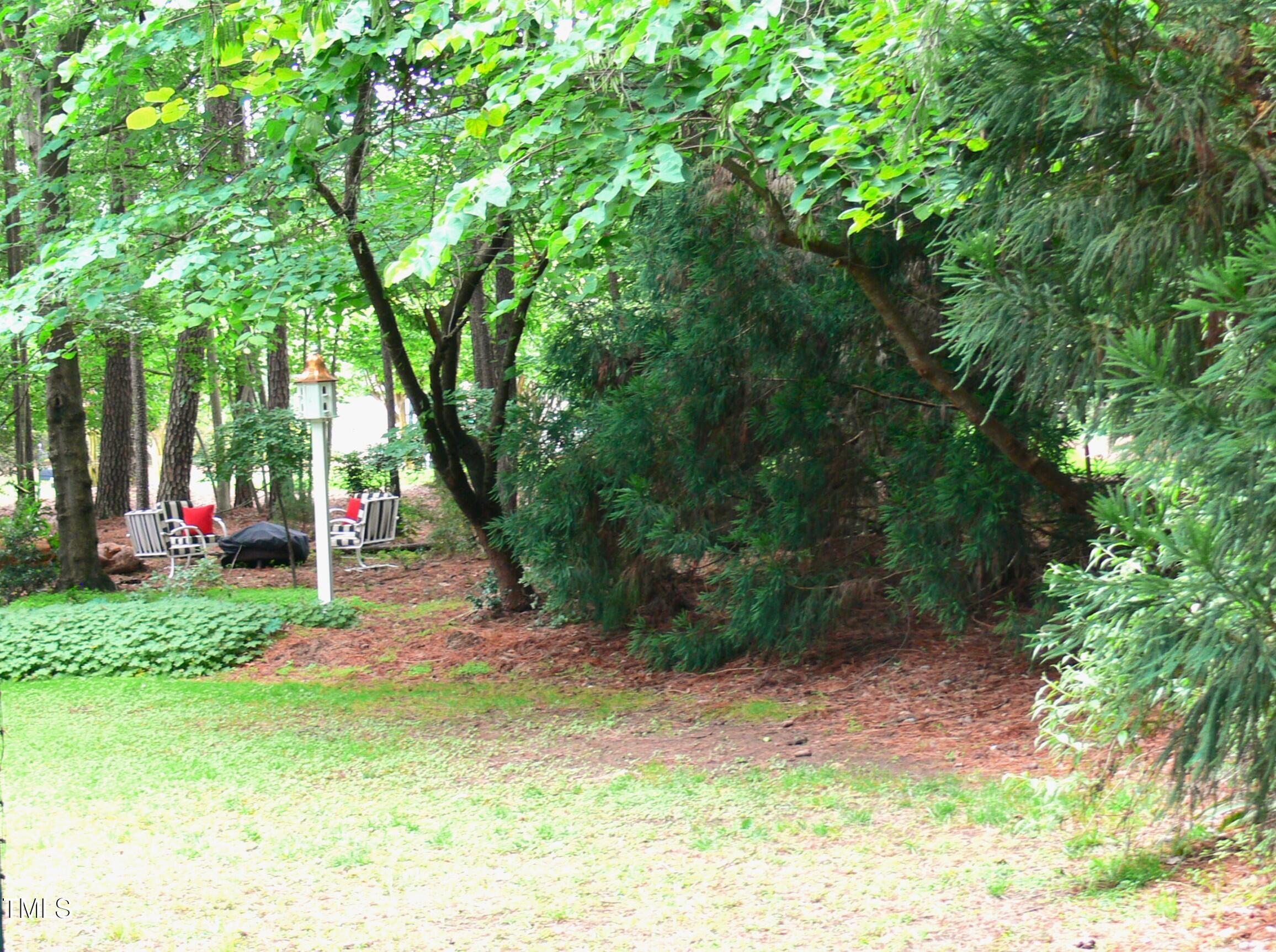 Photo #43