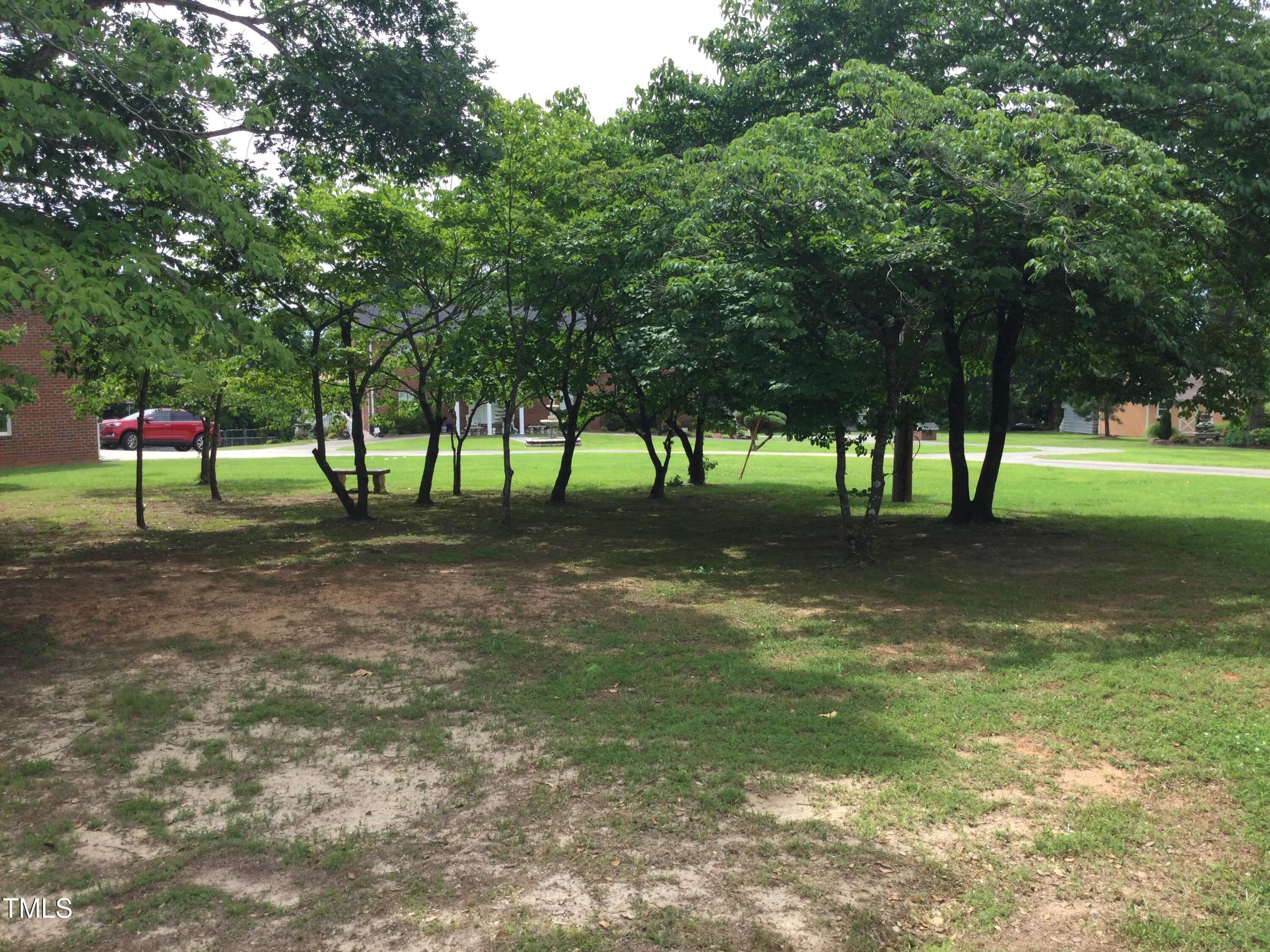 Photo #12