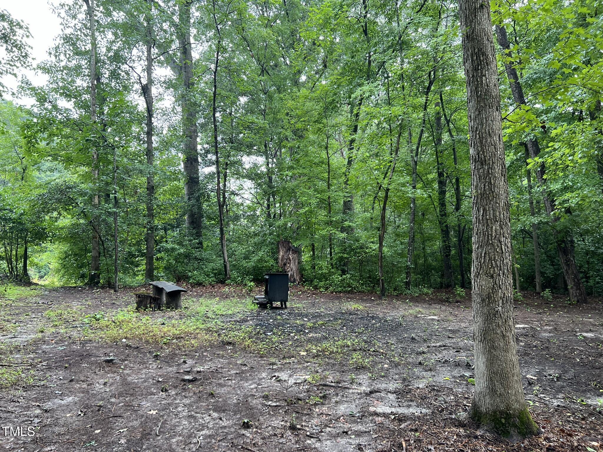 Photo #33