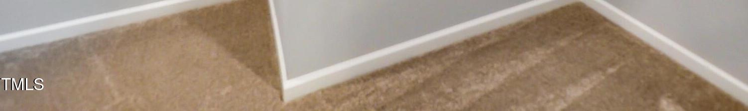 Photo #16