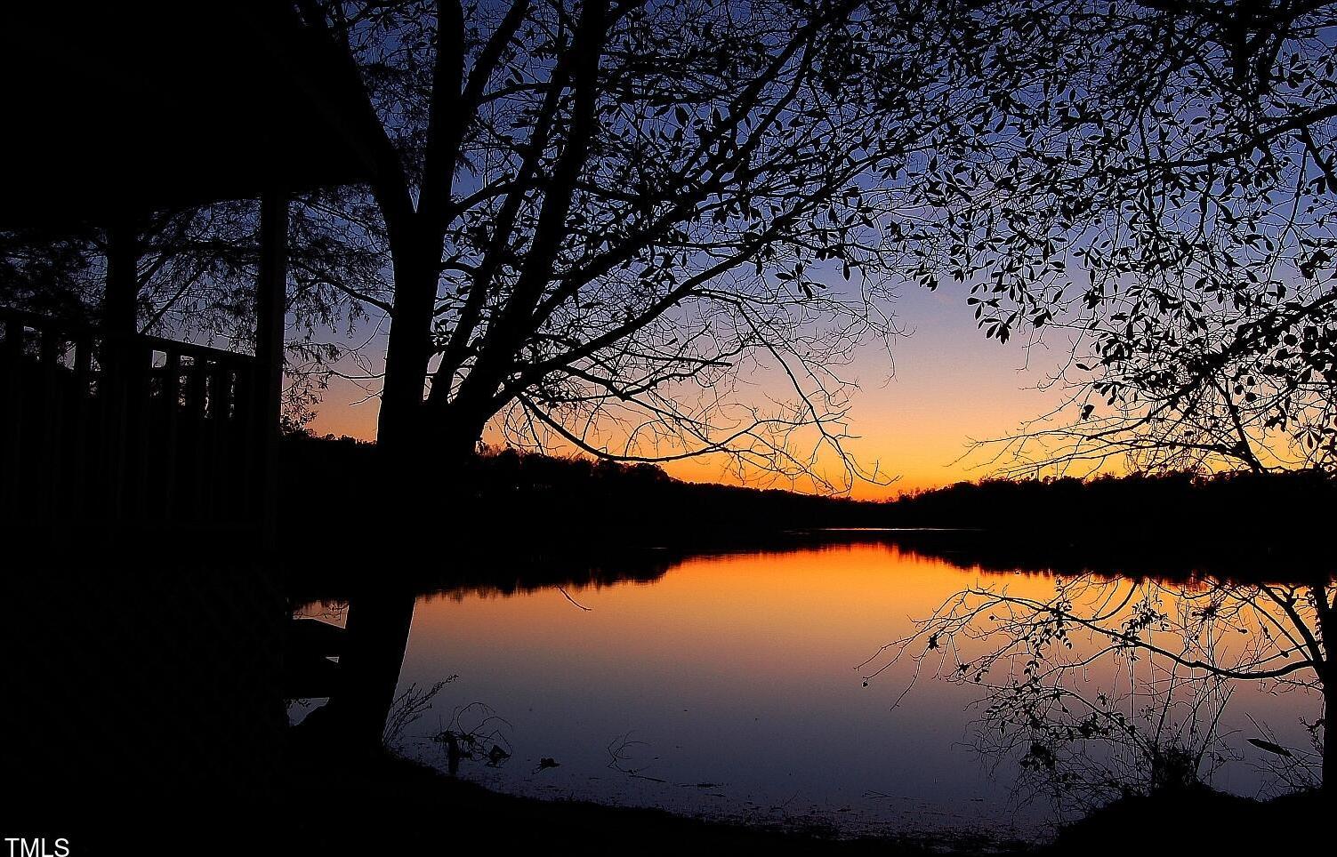 Photo #73