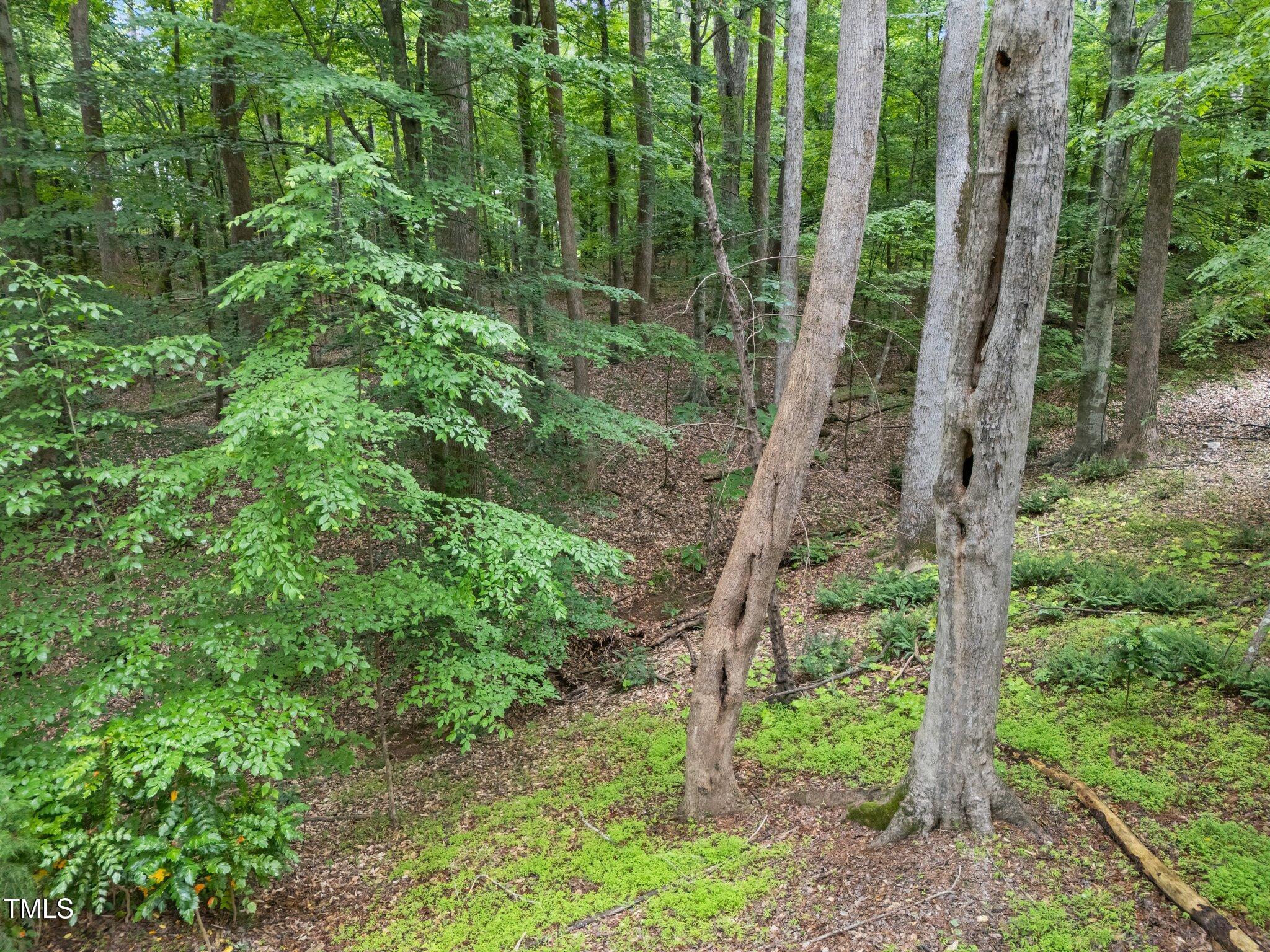 Photo #37