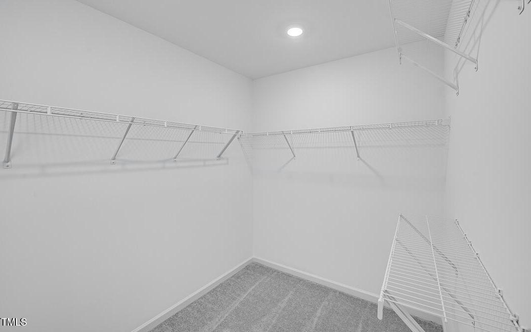 Photo #7