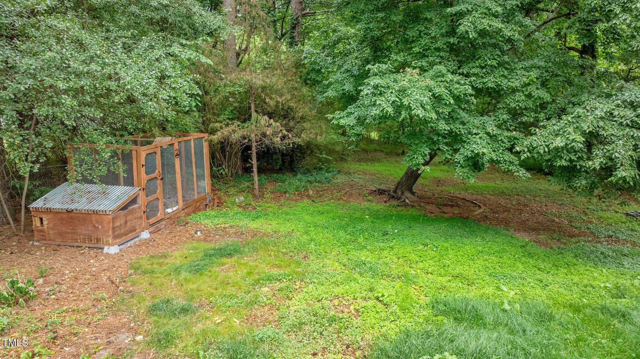 Photo #25