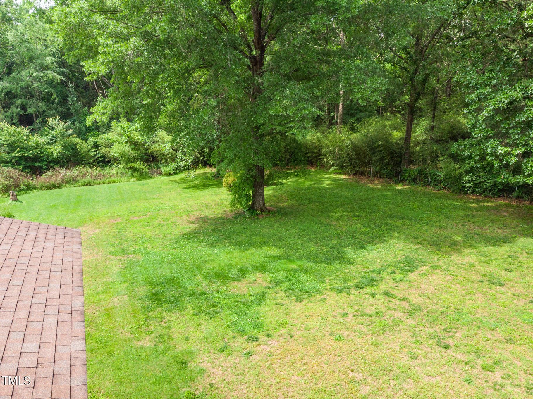 Photo #41