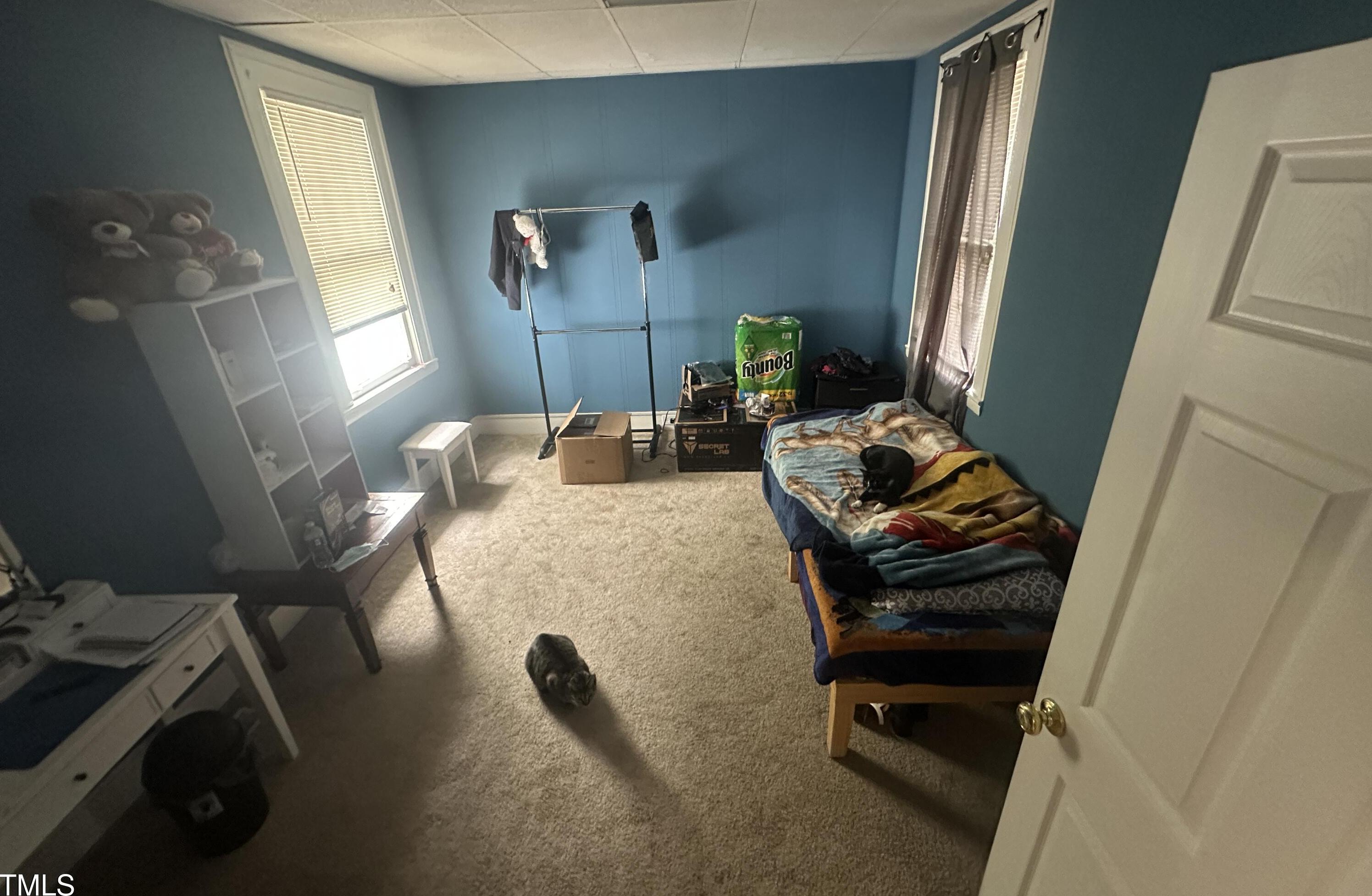Photo #21