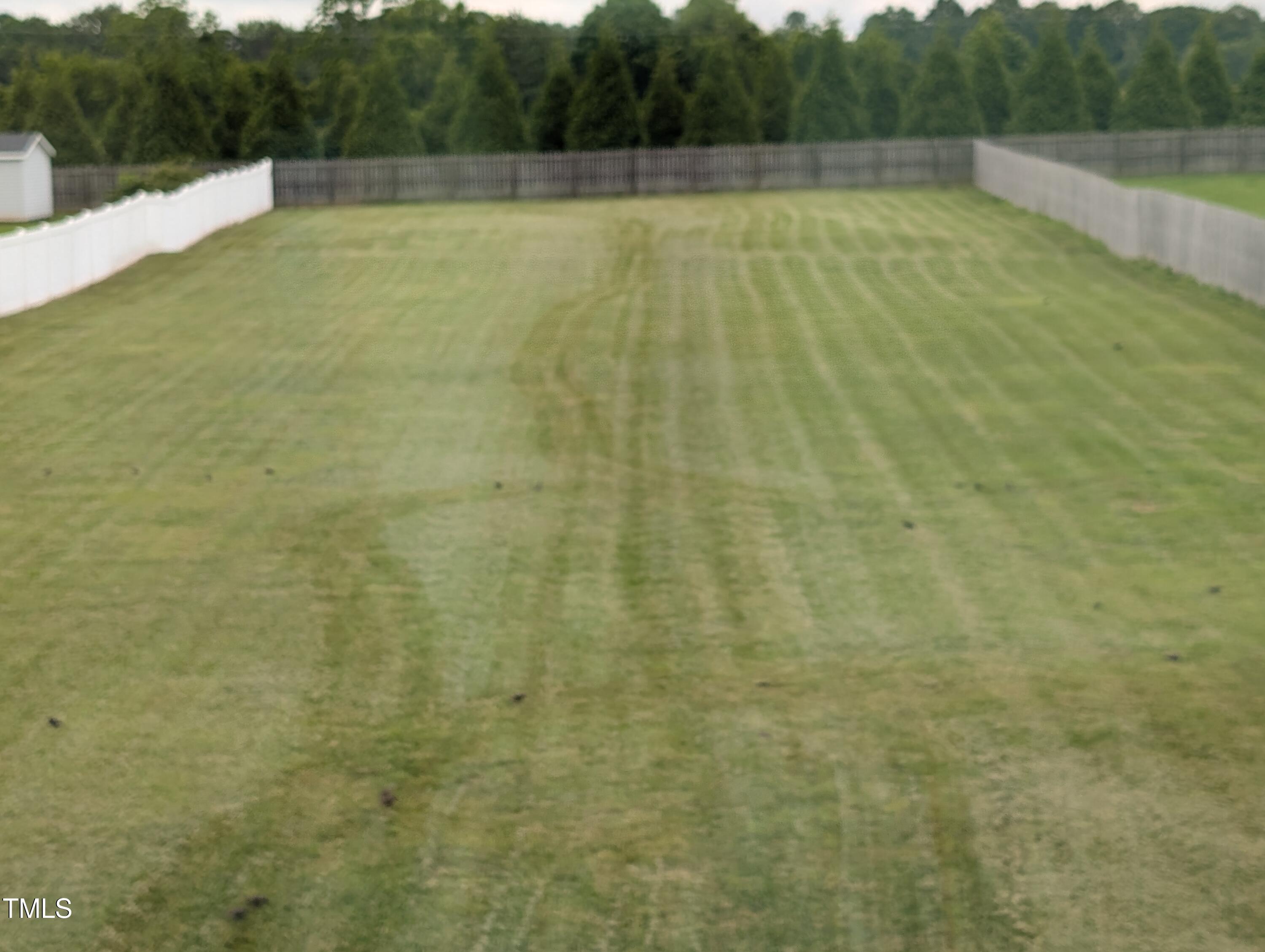 Photo #42