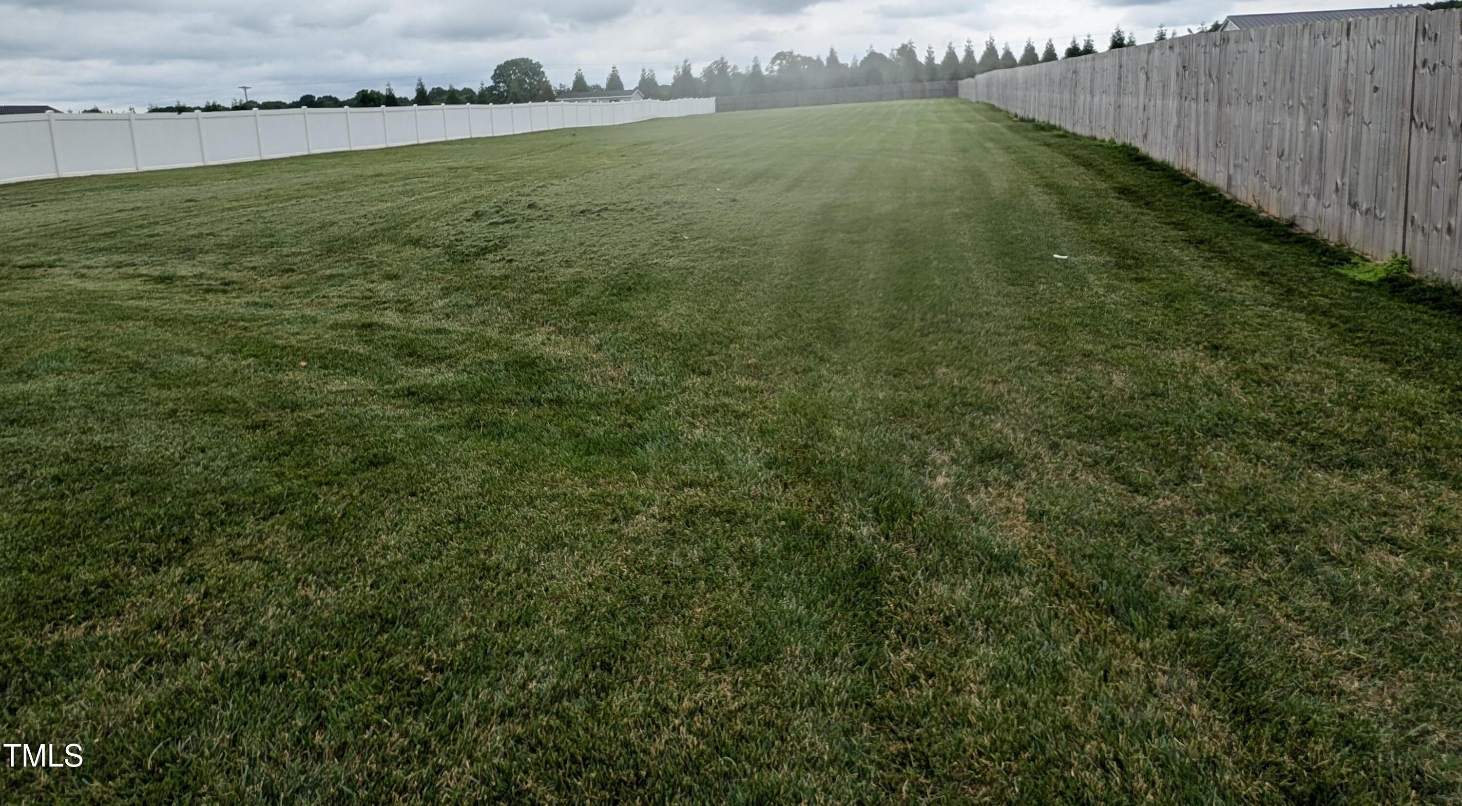 Photo #41