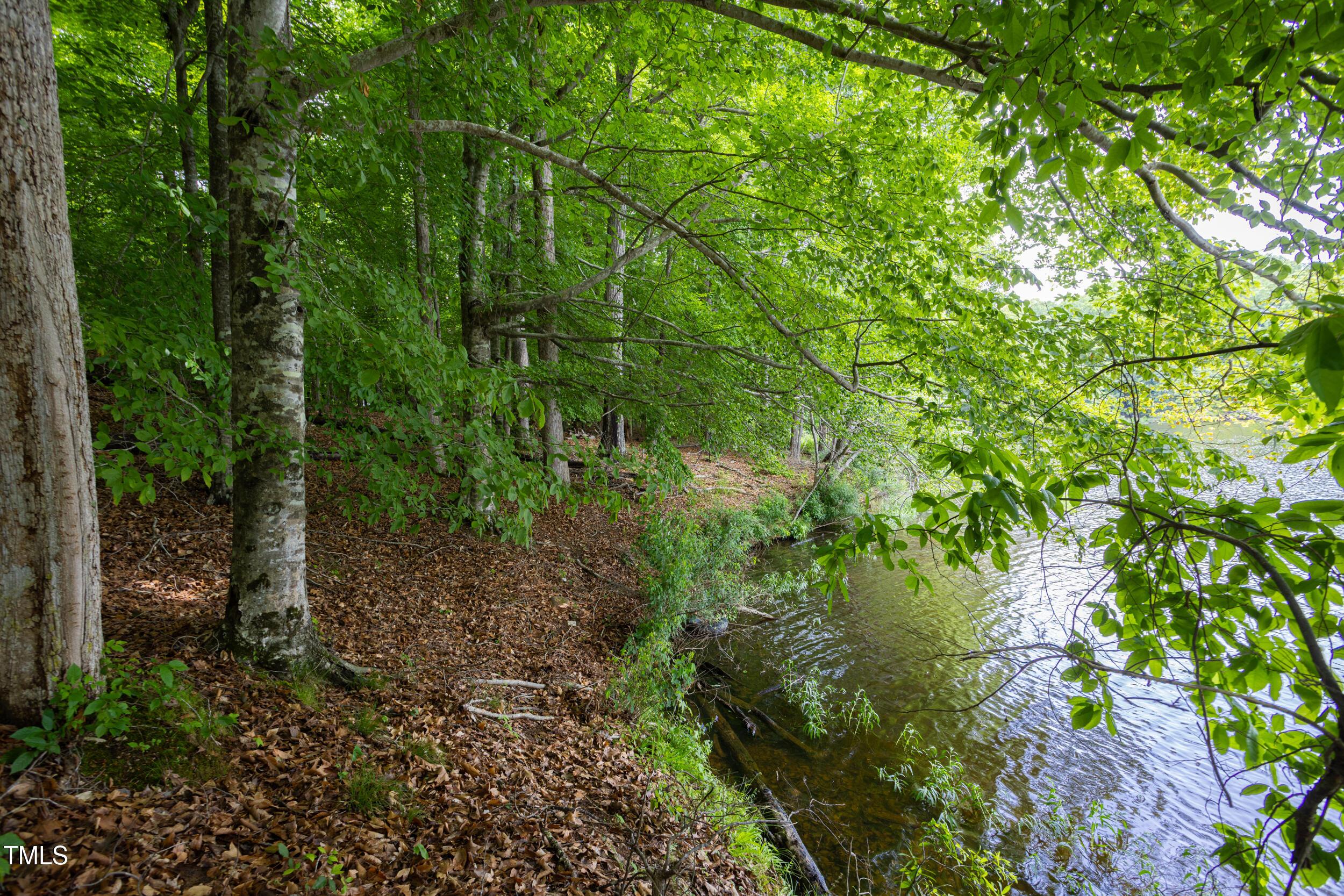 Photo #43