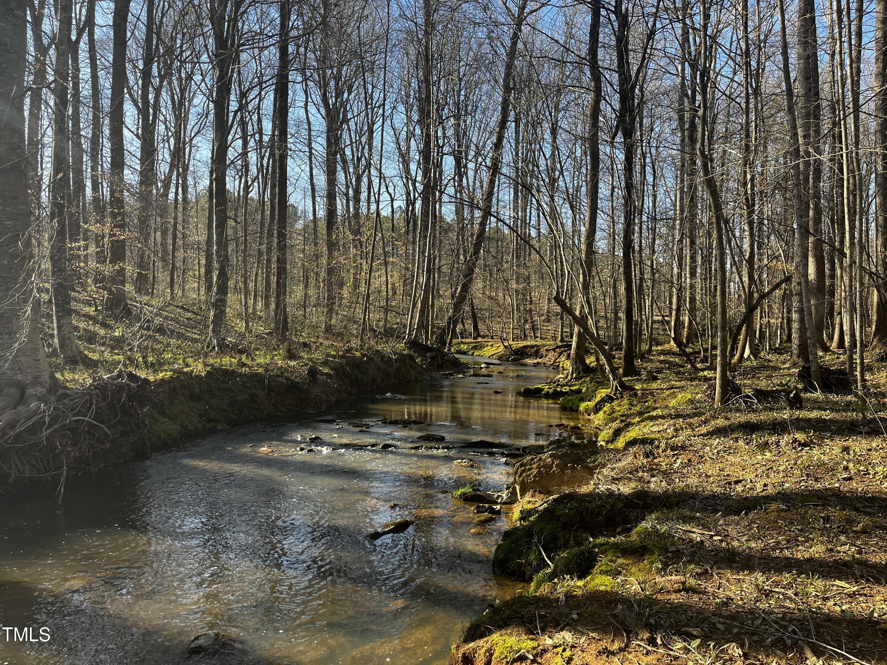 Photo #42