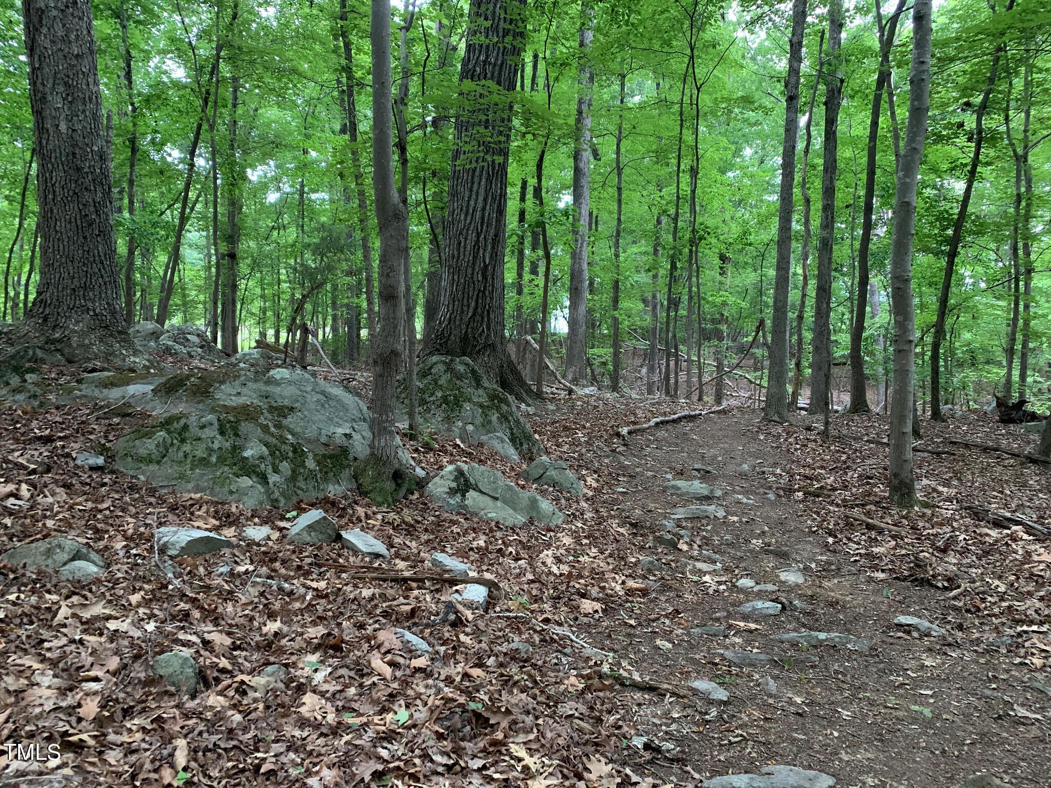 Photo #41
