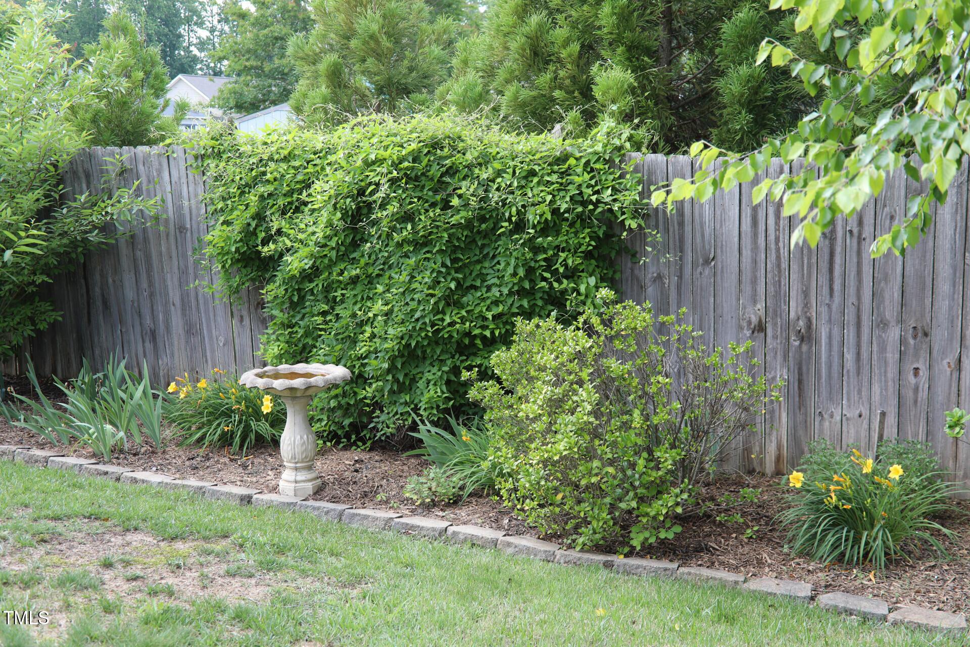 Photo #16