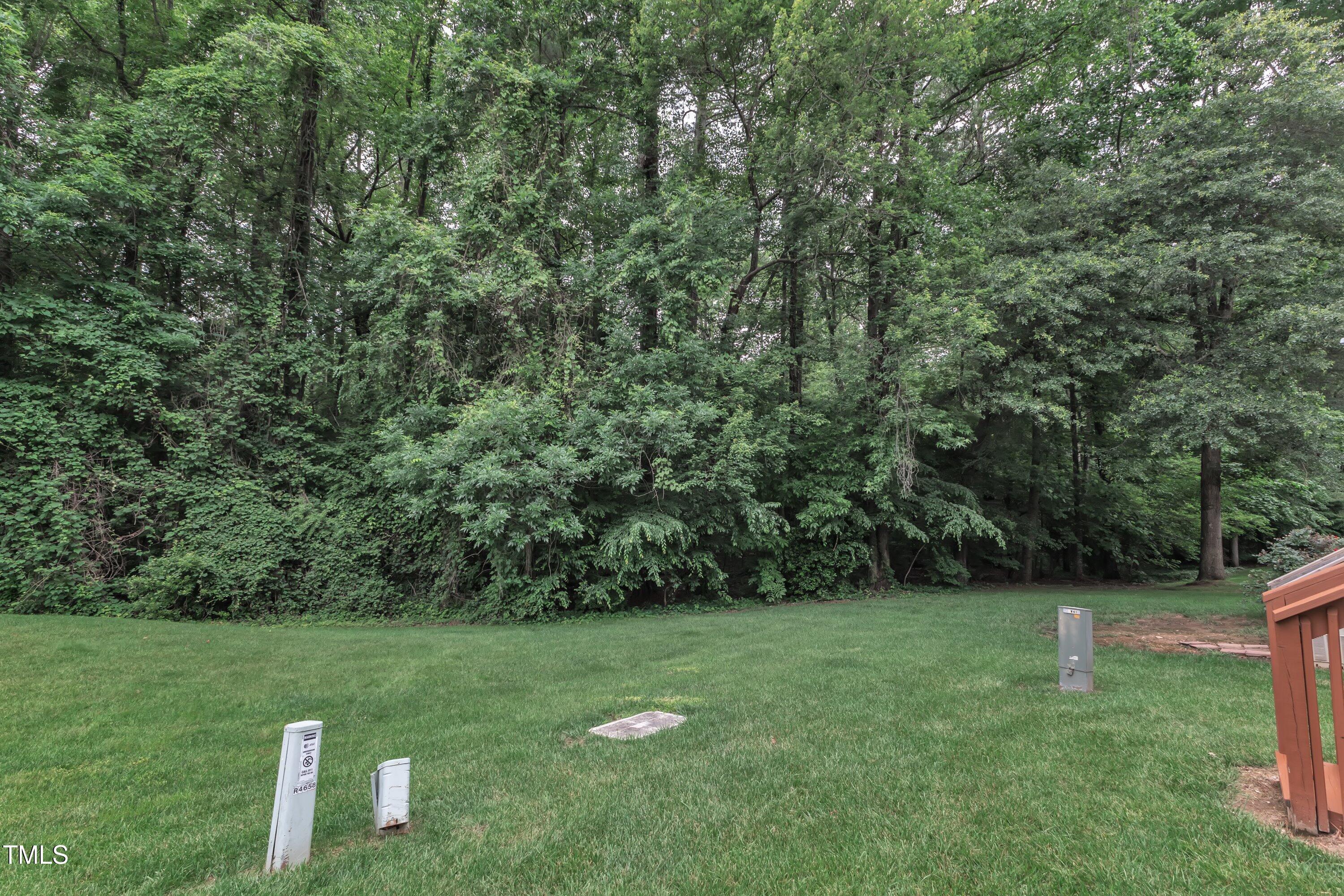 Photo #35