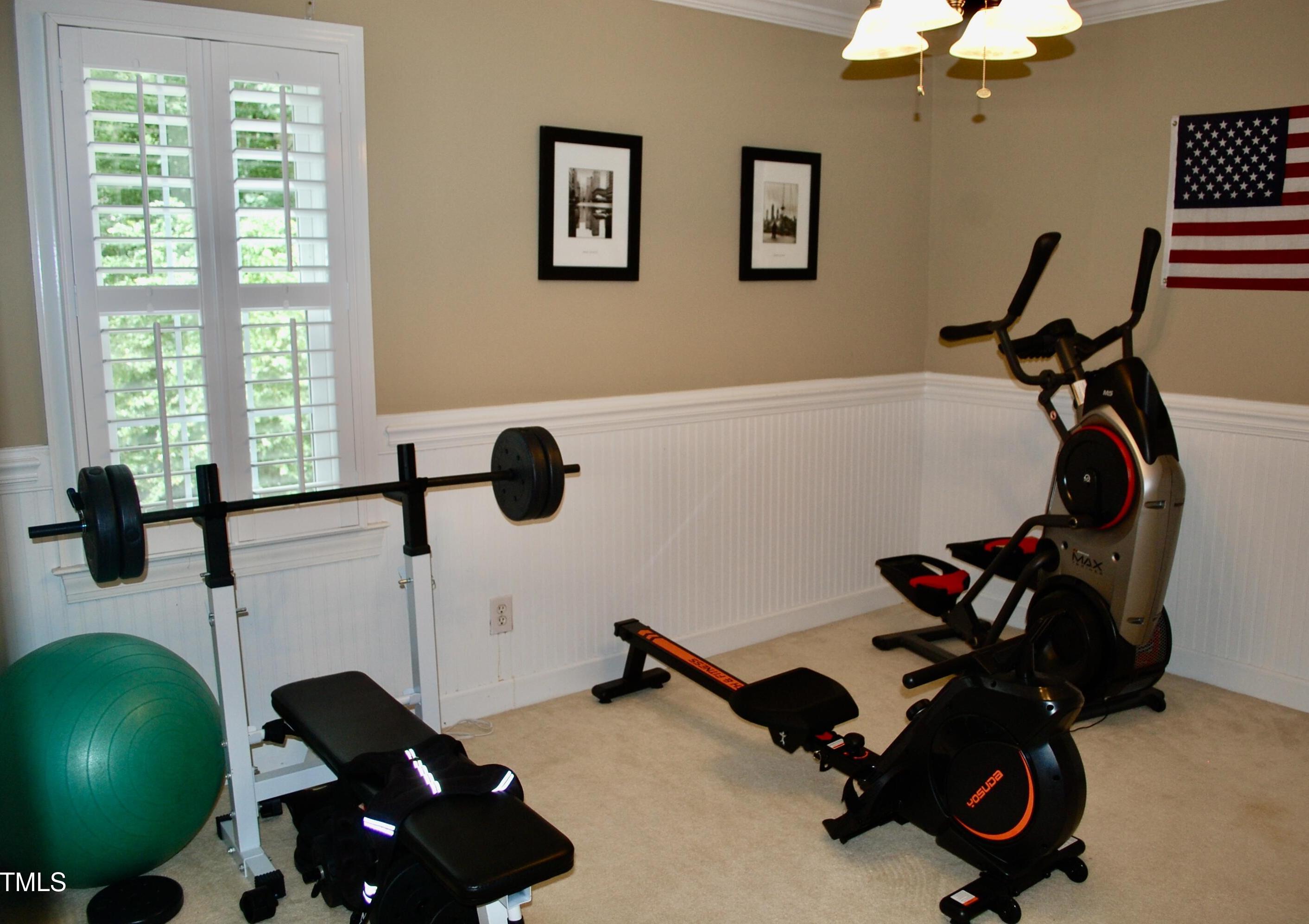 Photo #15