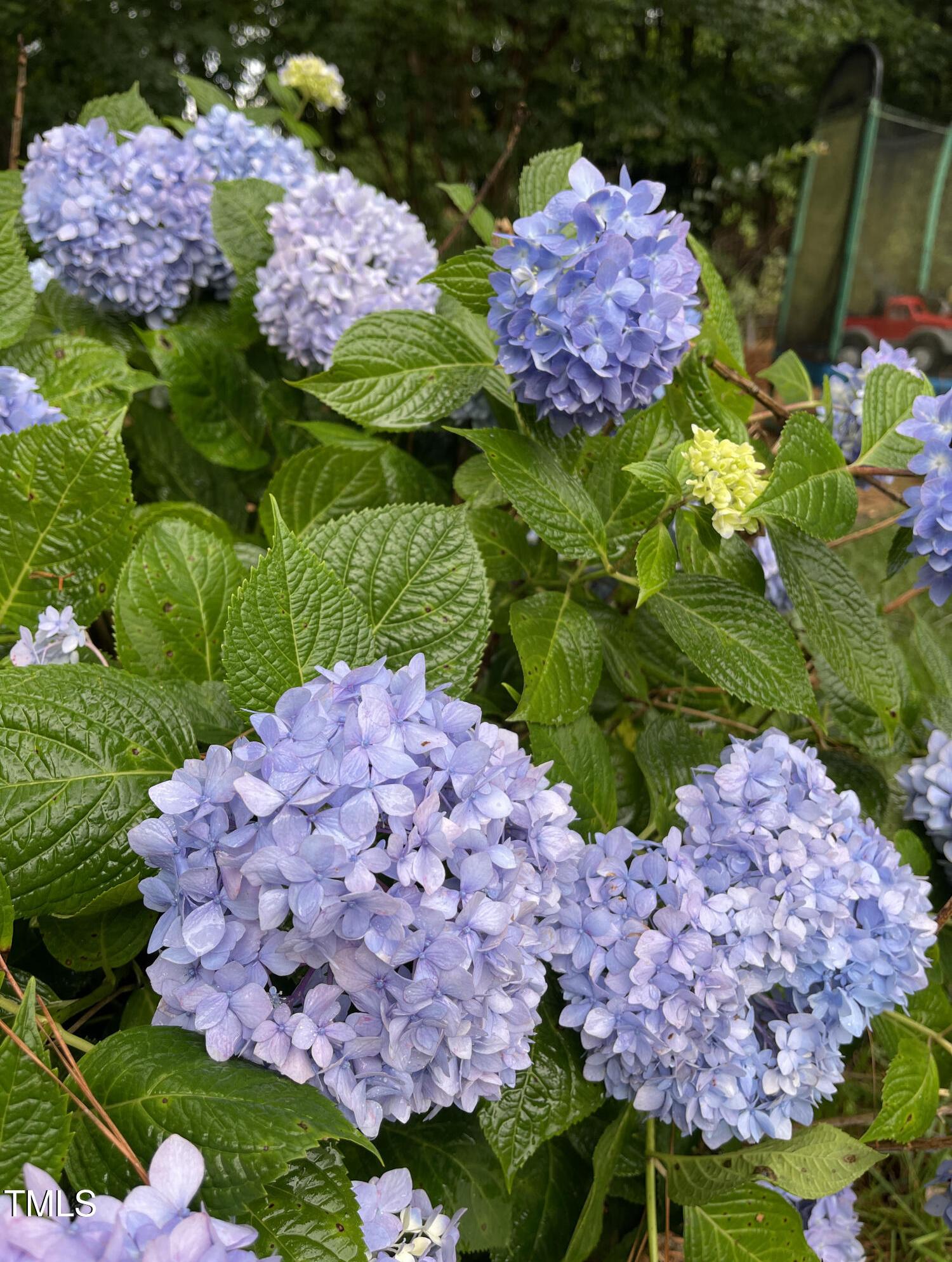 Photo #47